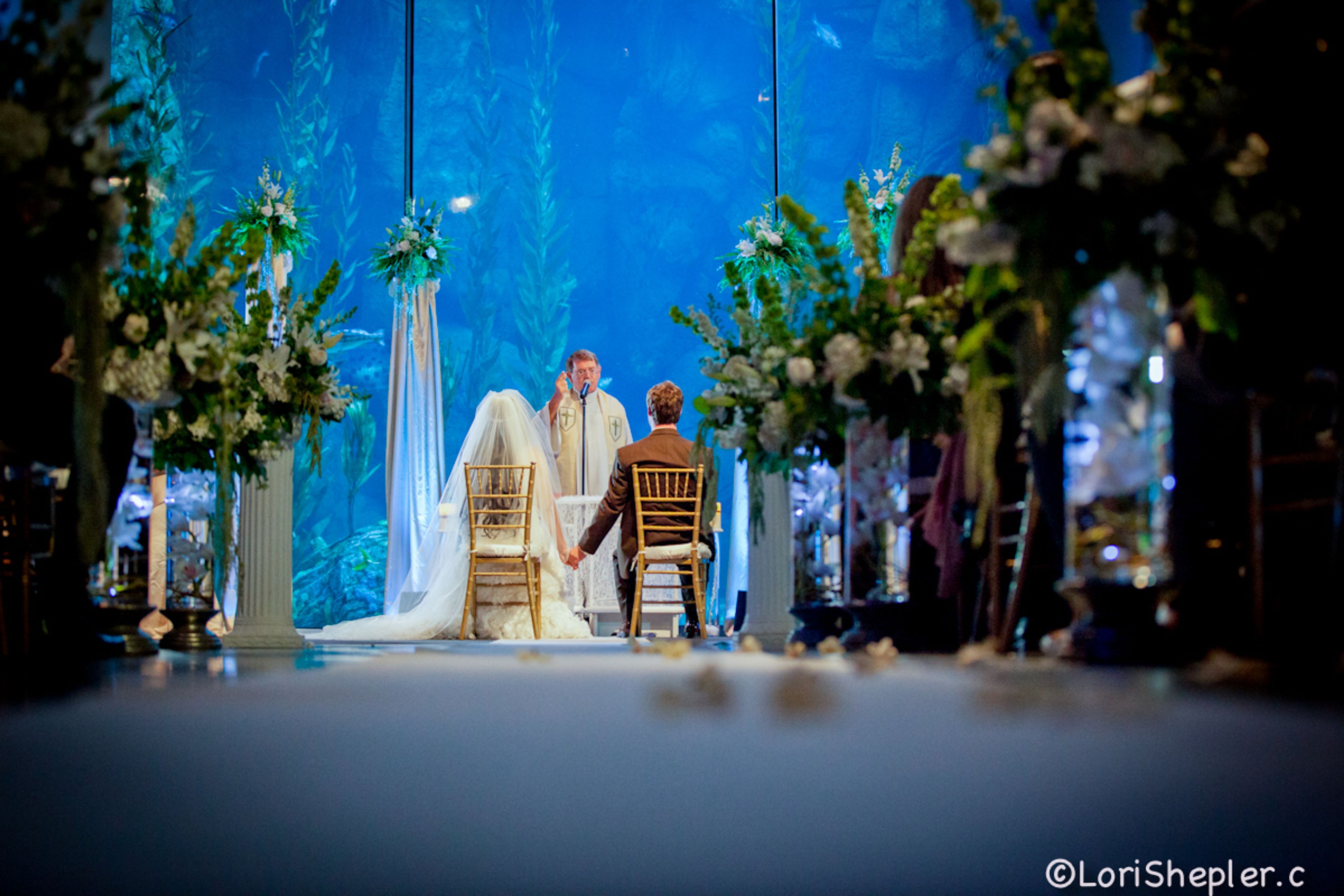 Cover photo of Aquarium of the Pacific