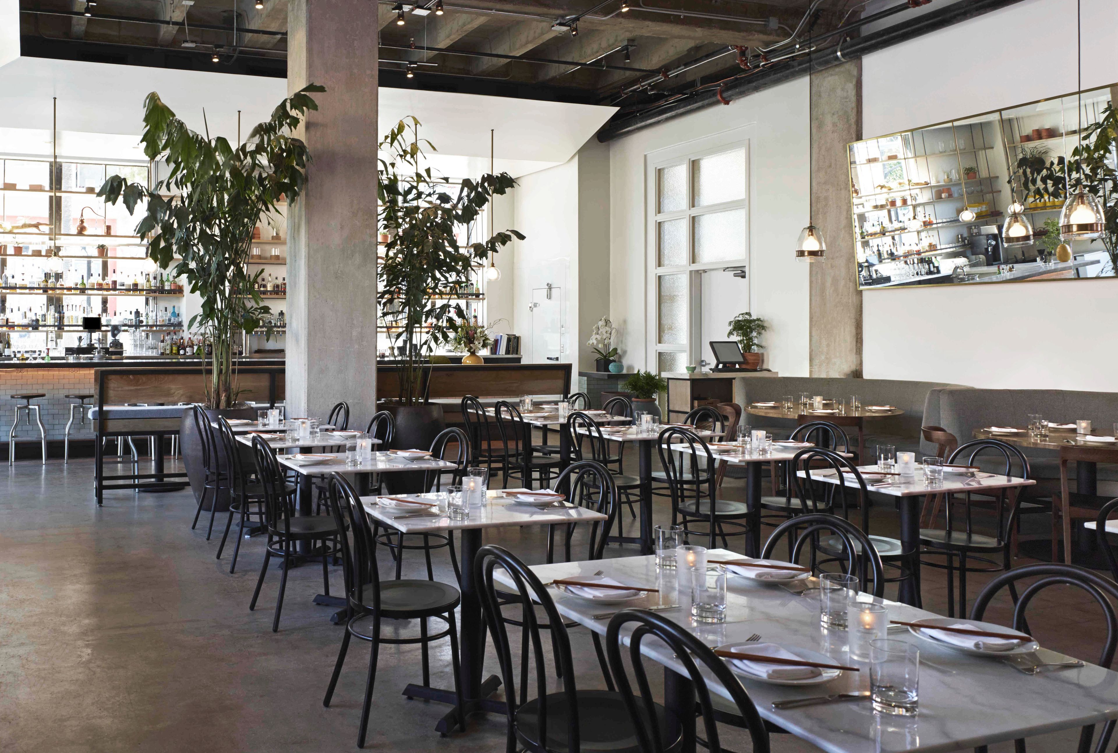 Cover photo of Cassia