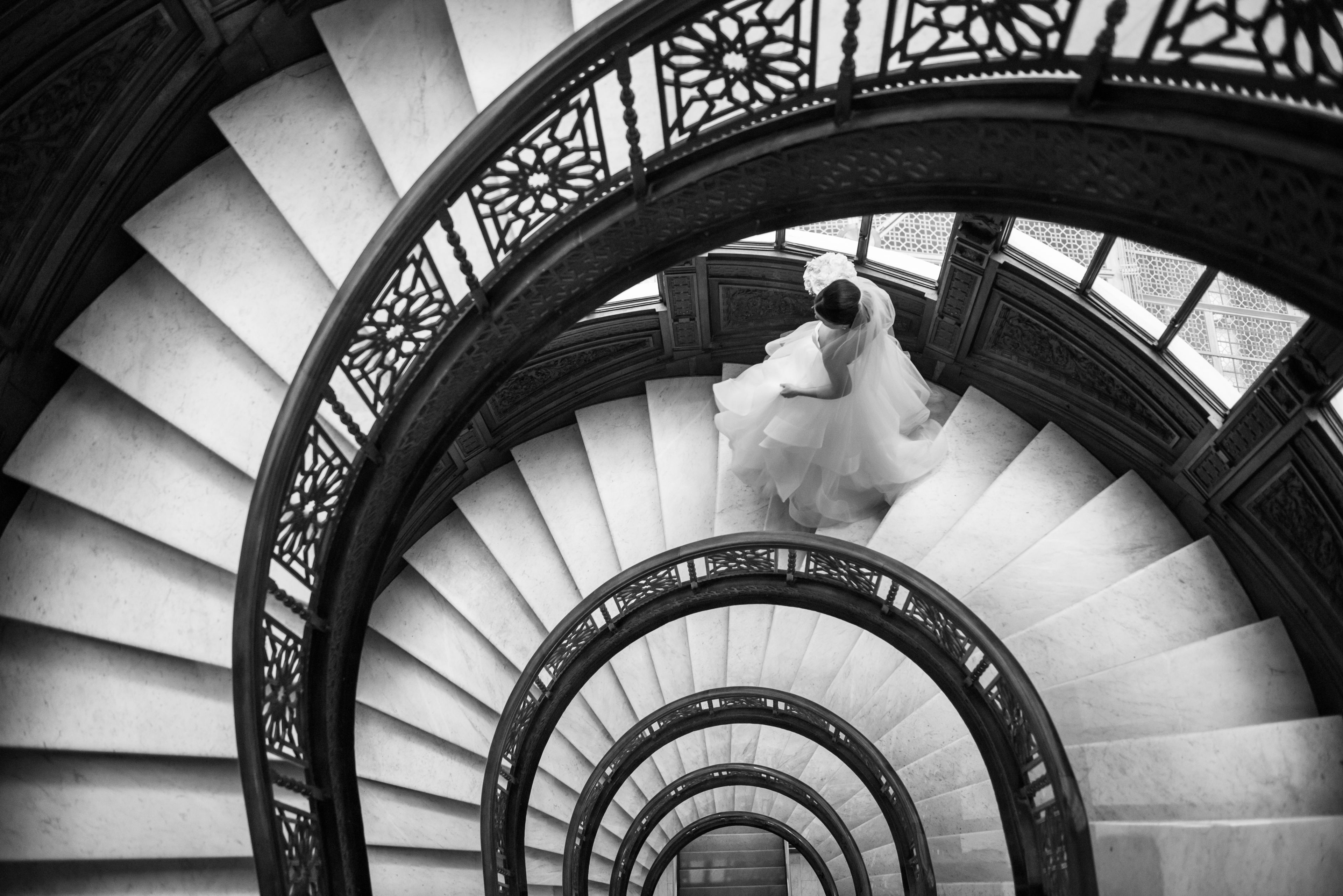 Cover photo of The Rookery