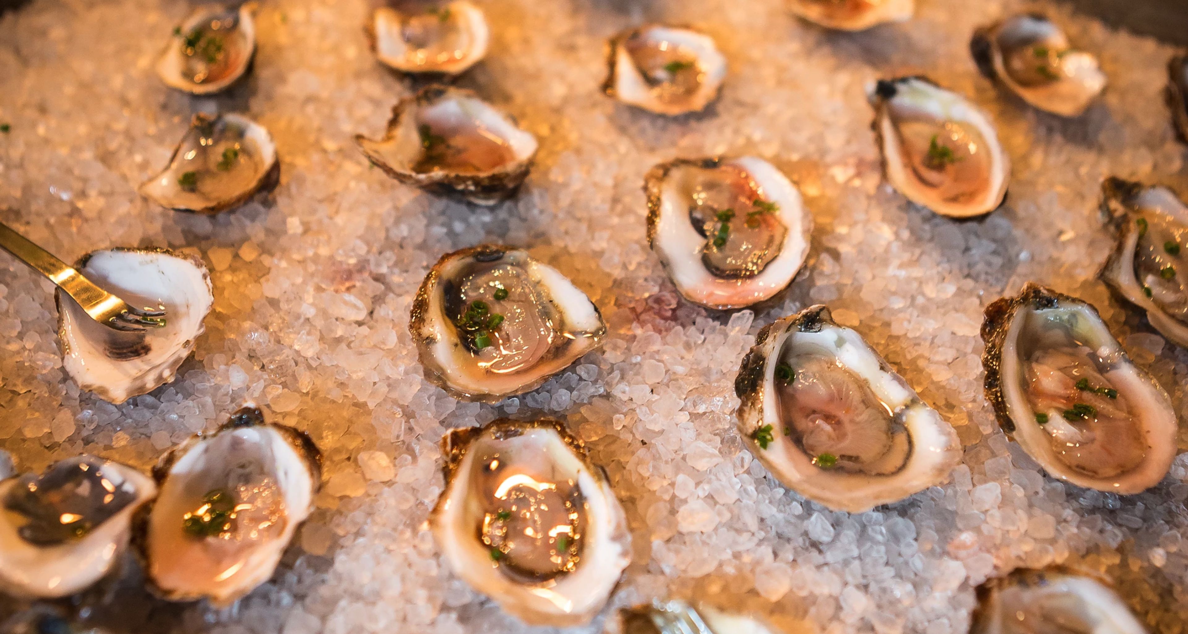 Cover photo of Harvest Catering