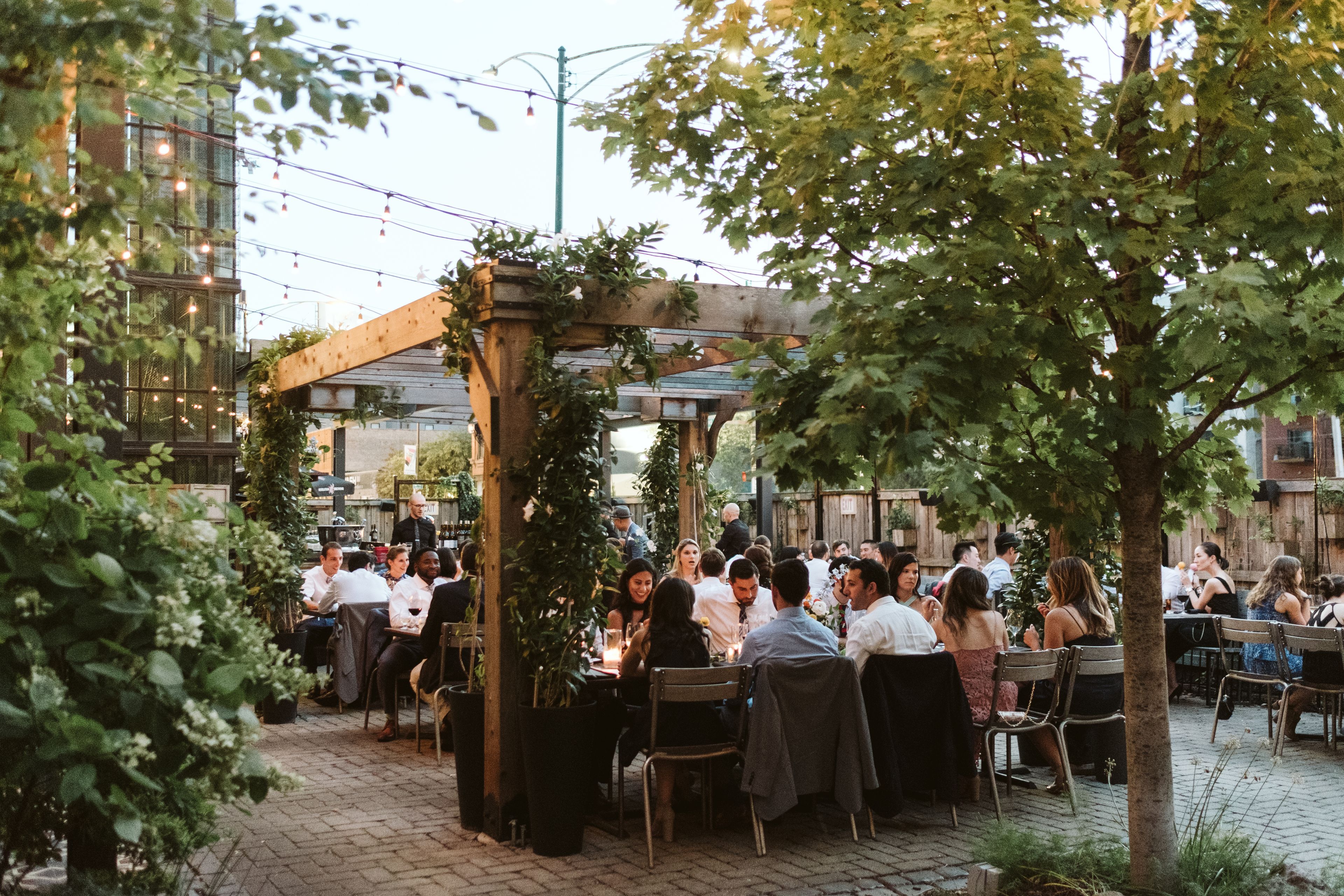 Cover photo of The Dawson