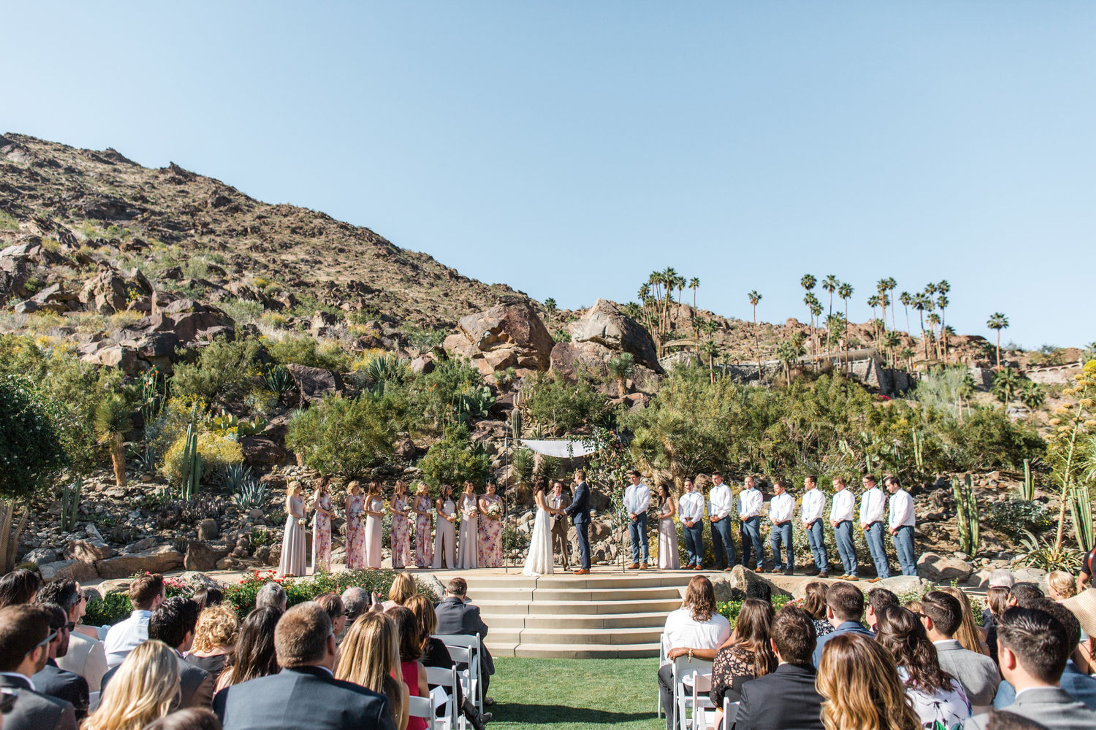 Cover photo of Colony 29