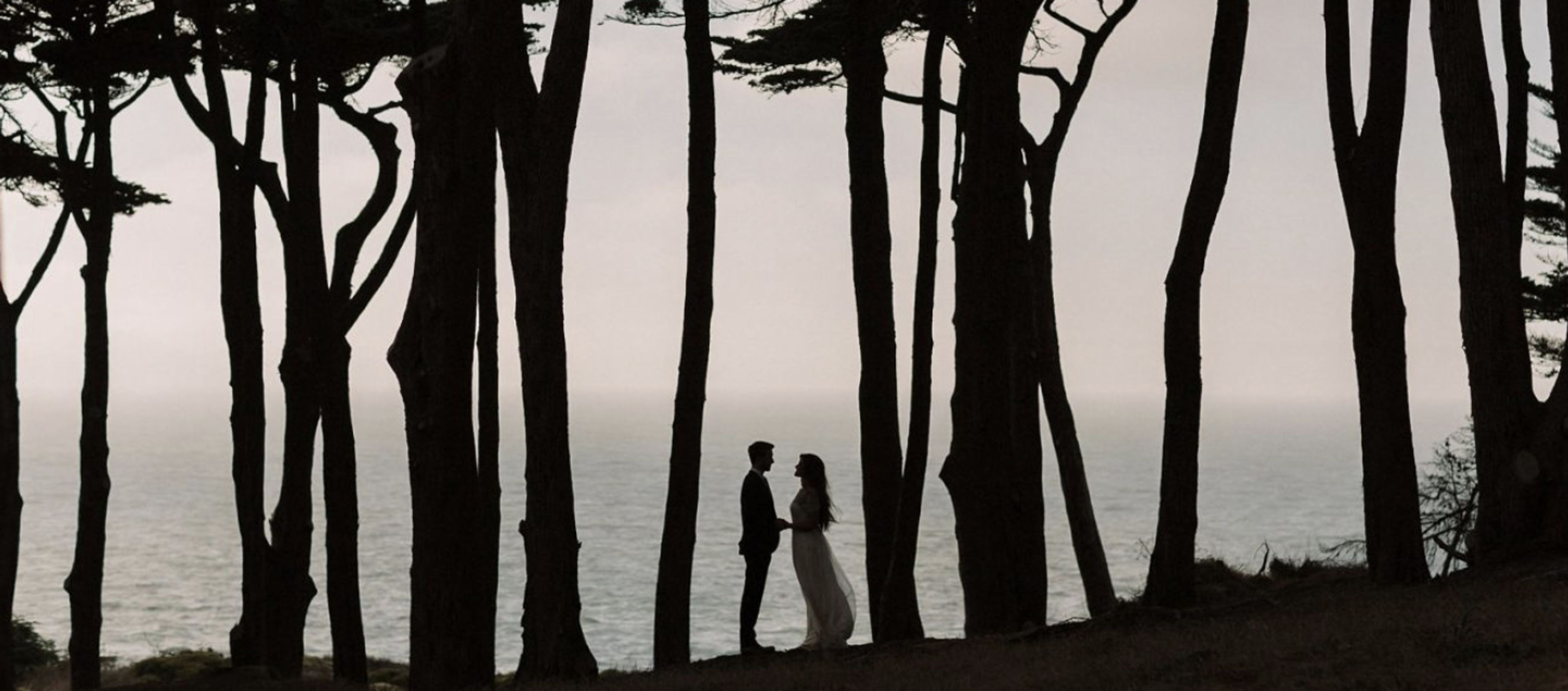 Cover photo of Sebastien Bicard