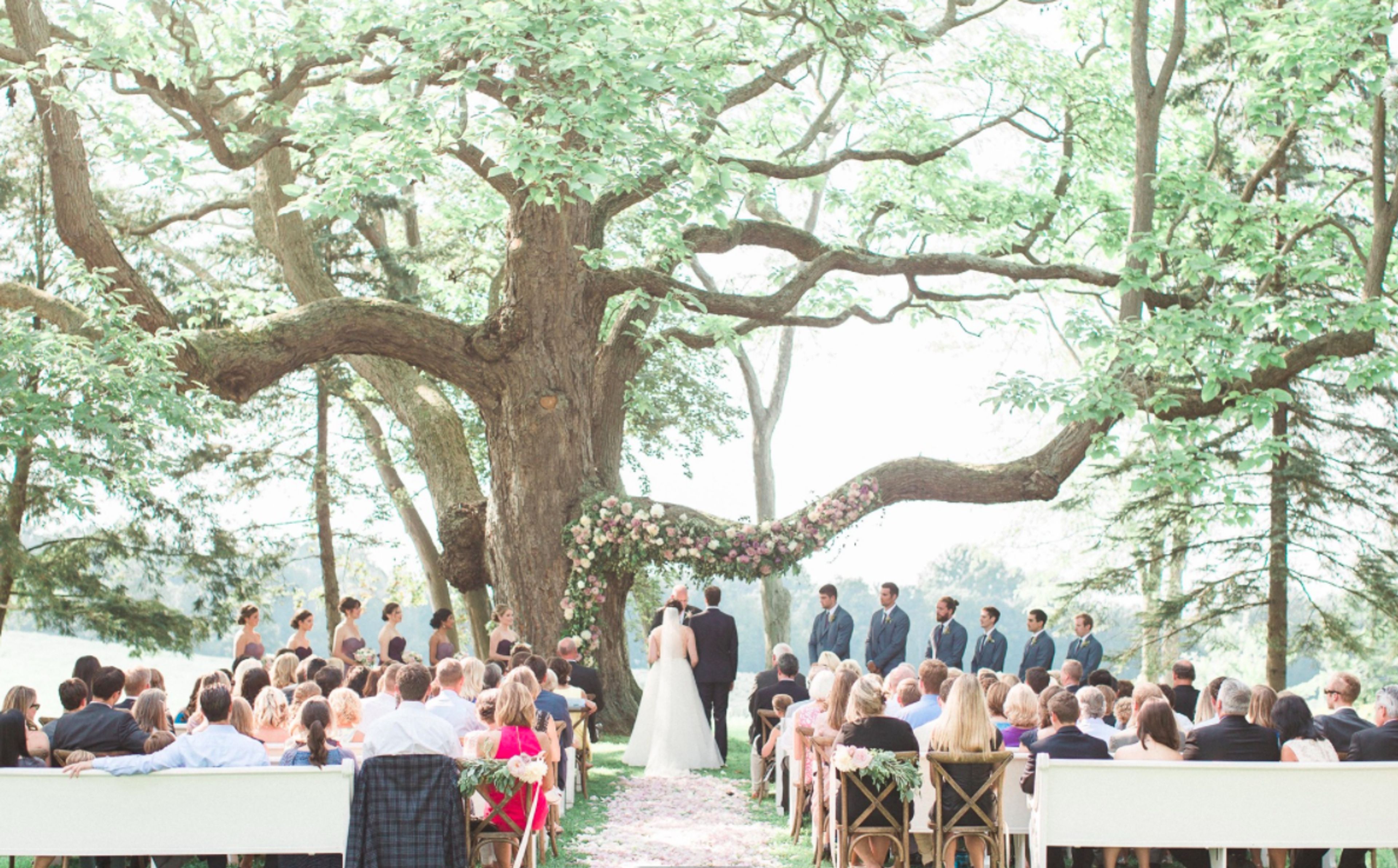 Cover photo of Hidden Vineyard Wedding Barn