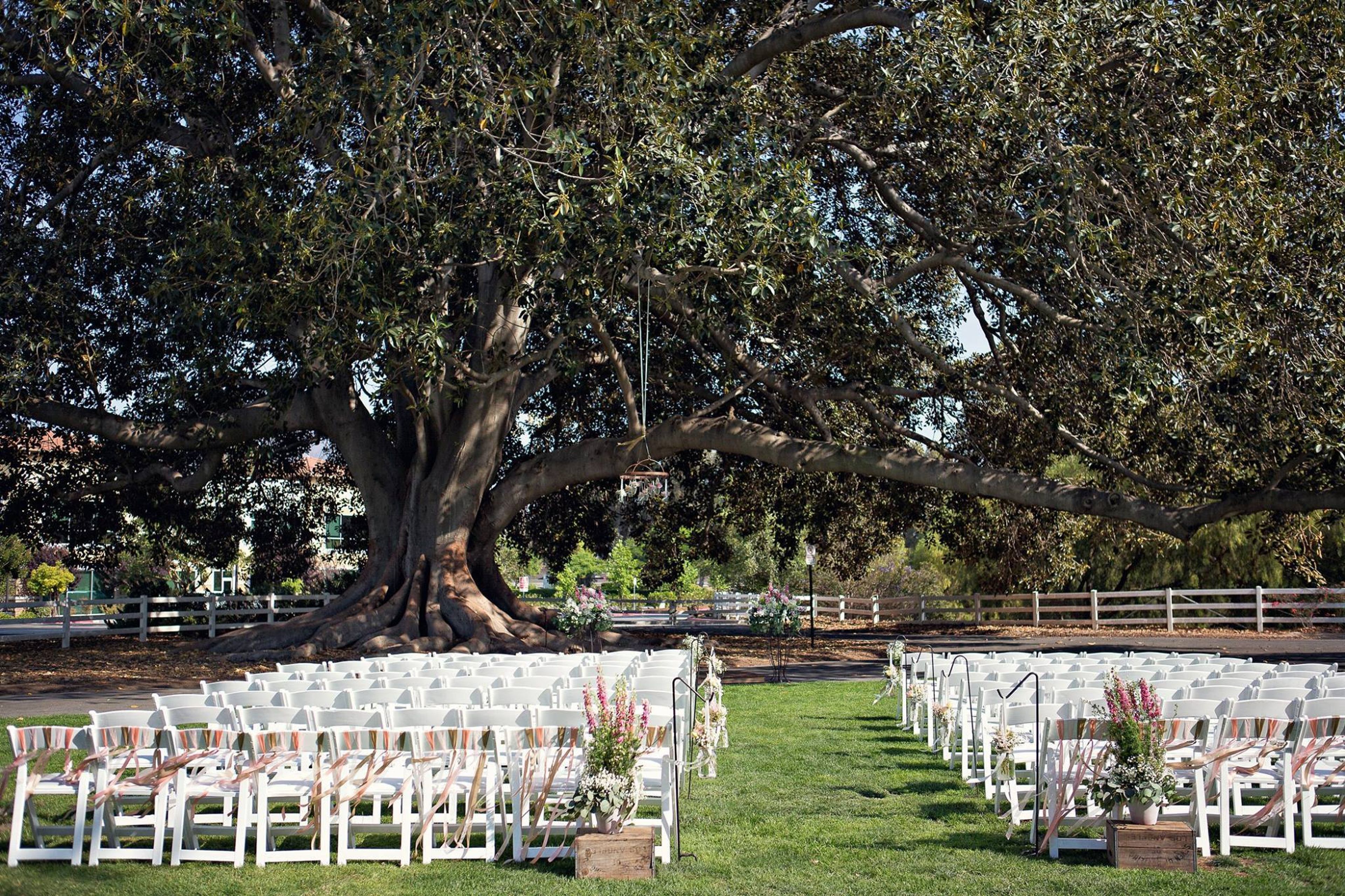Cover photo of Camarillo Ranch