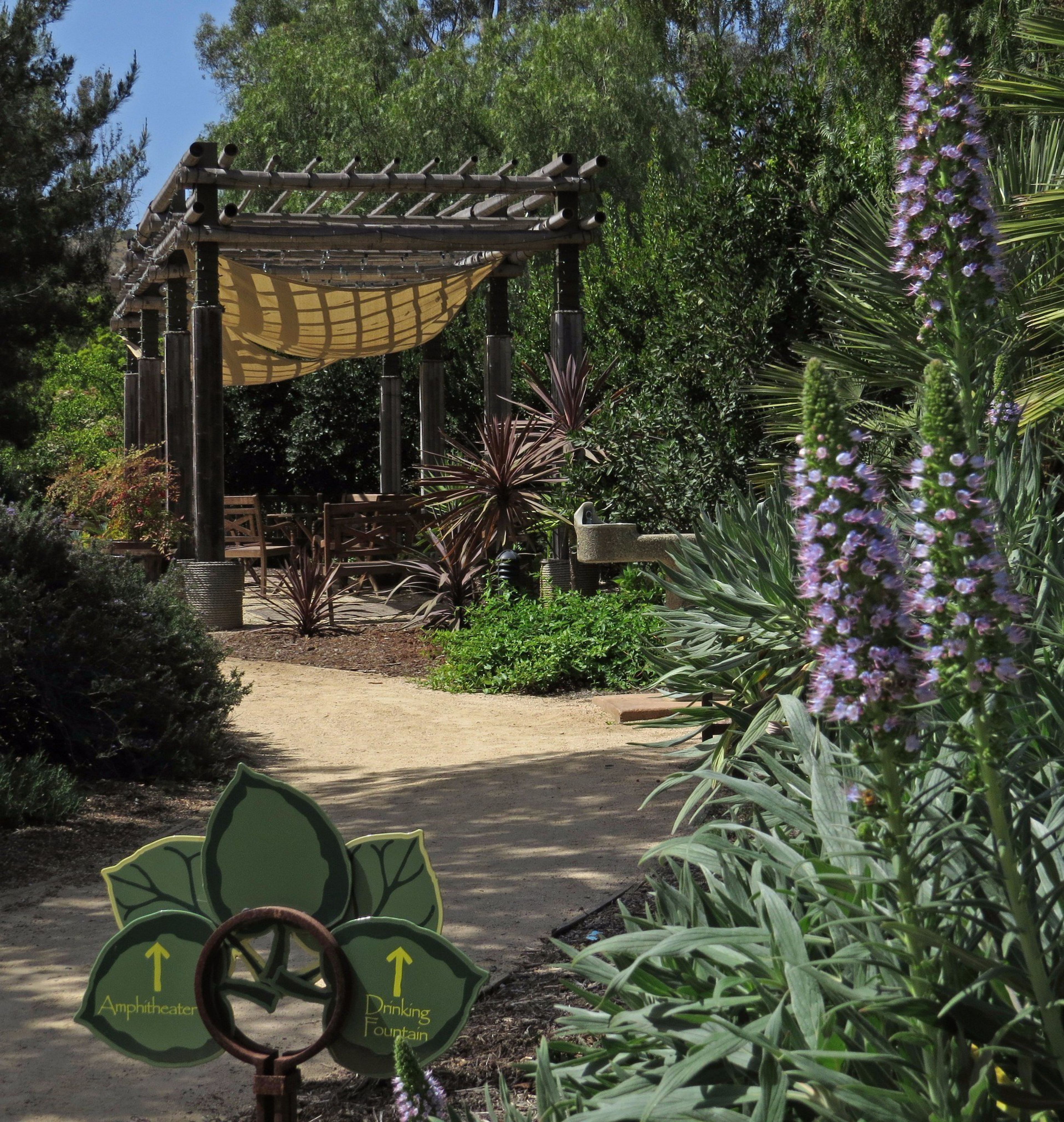 Cover photo of The Water Conservation Garden