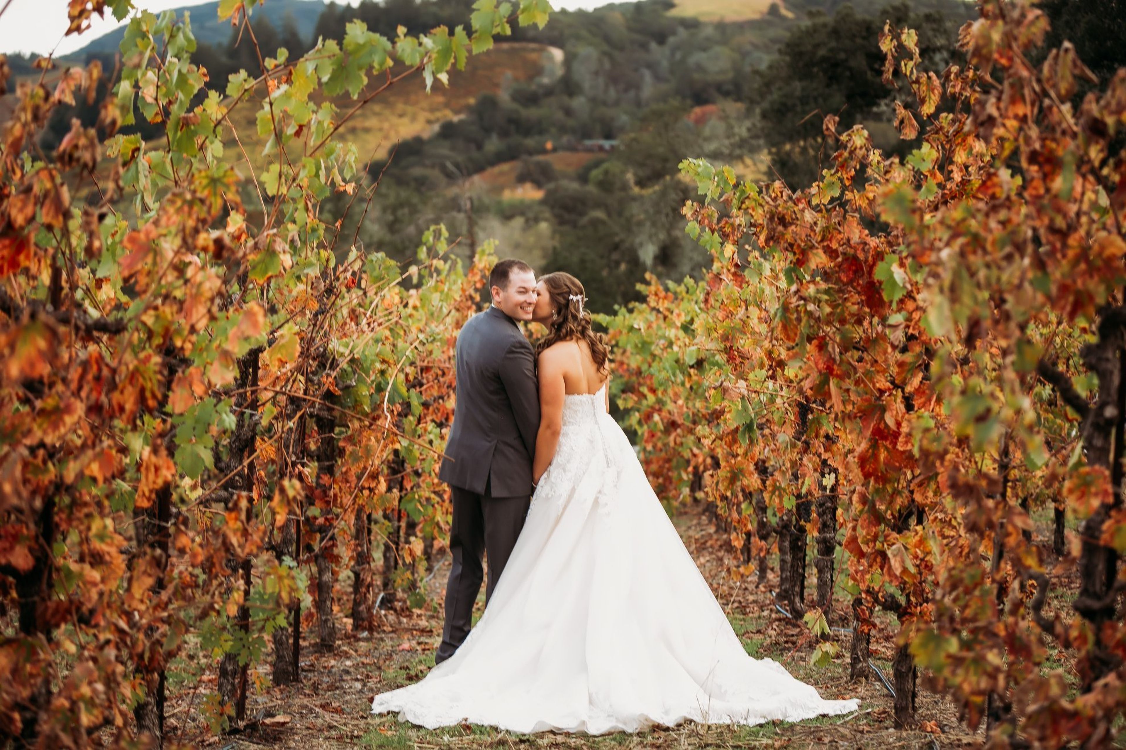 Cover photo of Copain Wines, a Milestone property