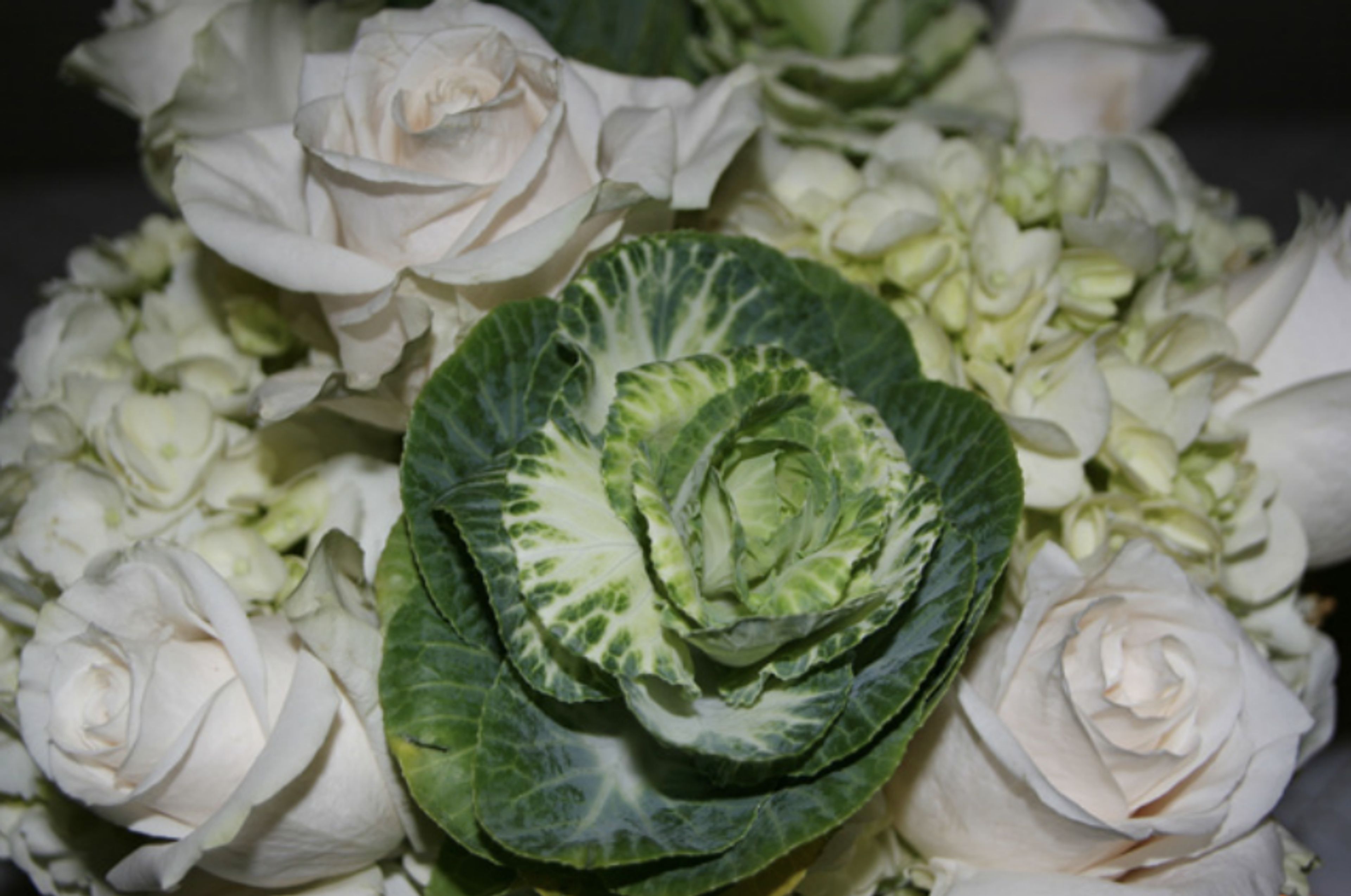 Cover photo of Davenport Design