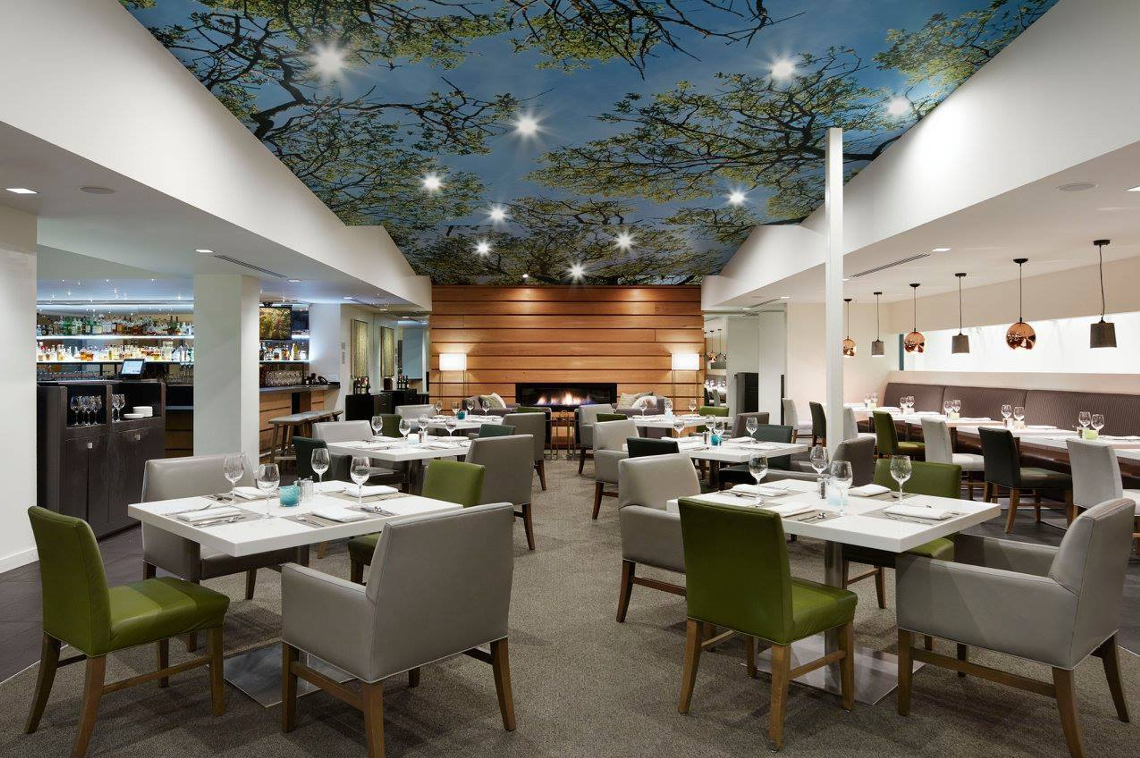 Cover photo of Hotel Paradox, Autograph Collection