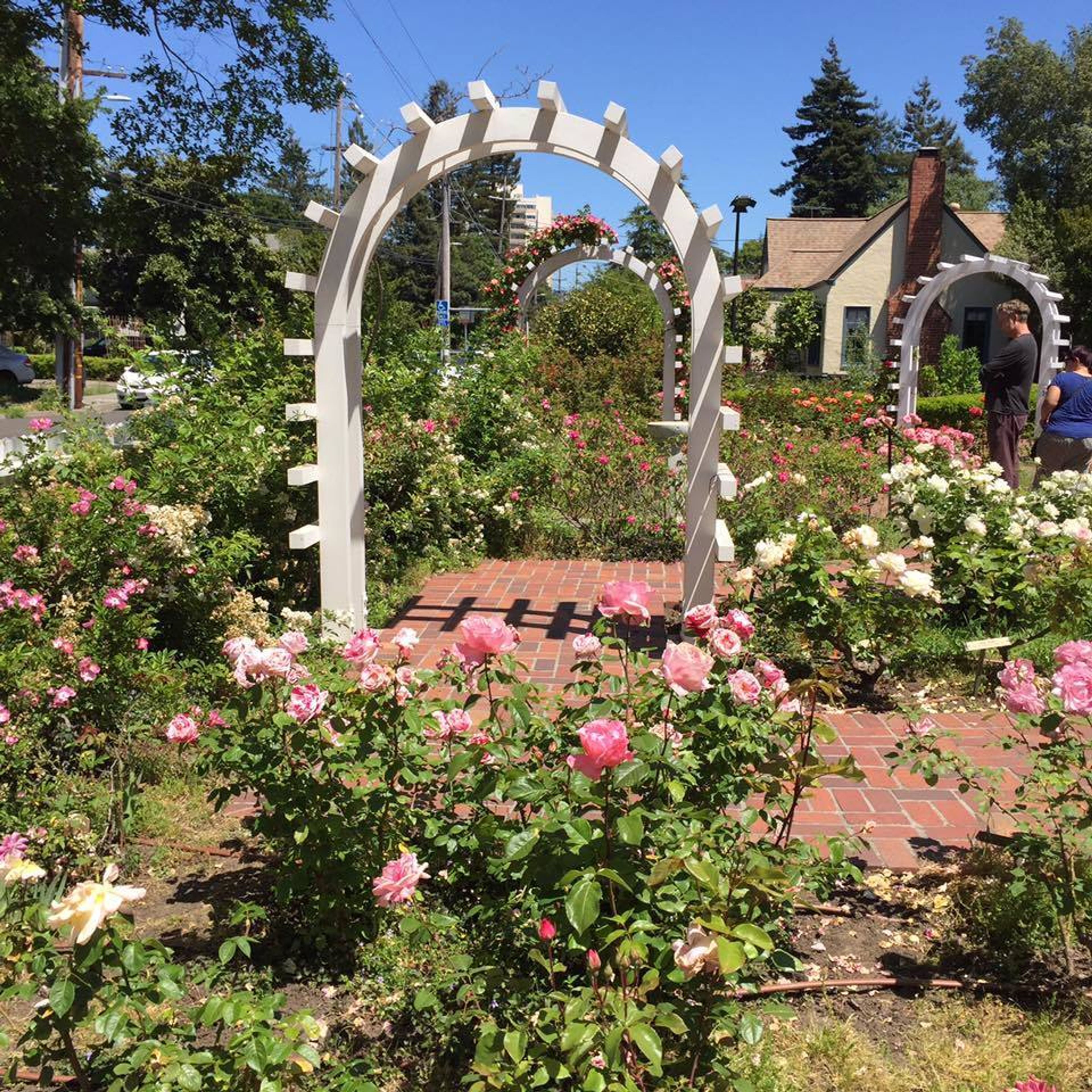 Cover photo of Luther Burbank Home & Gardens