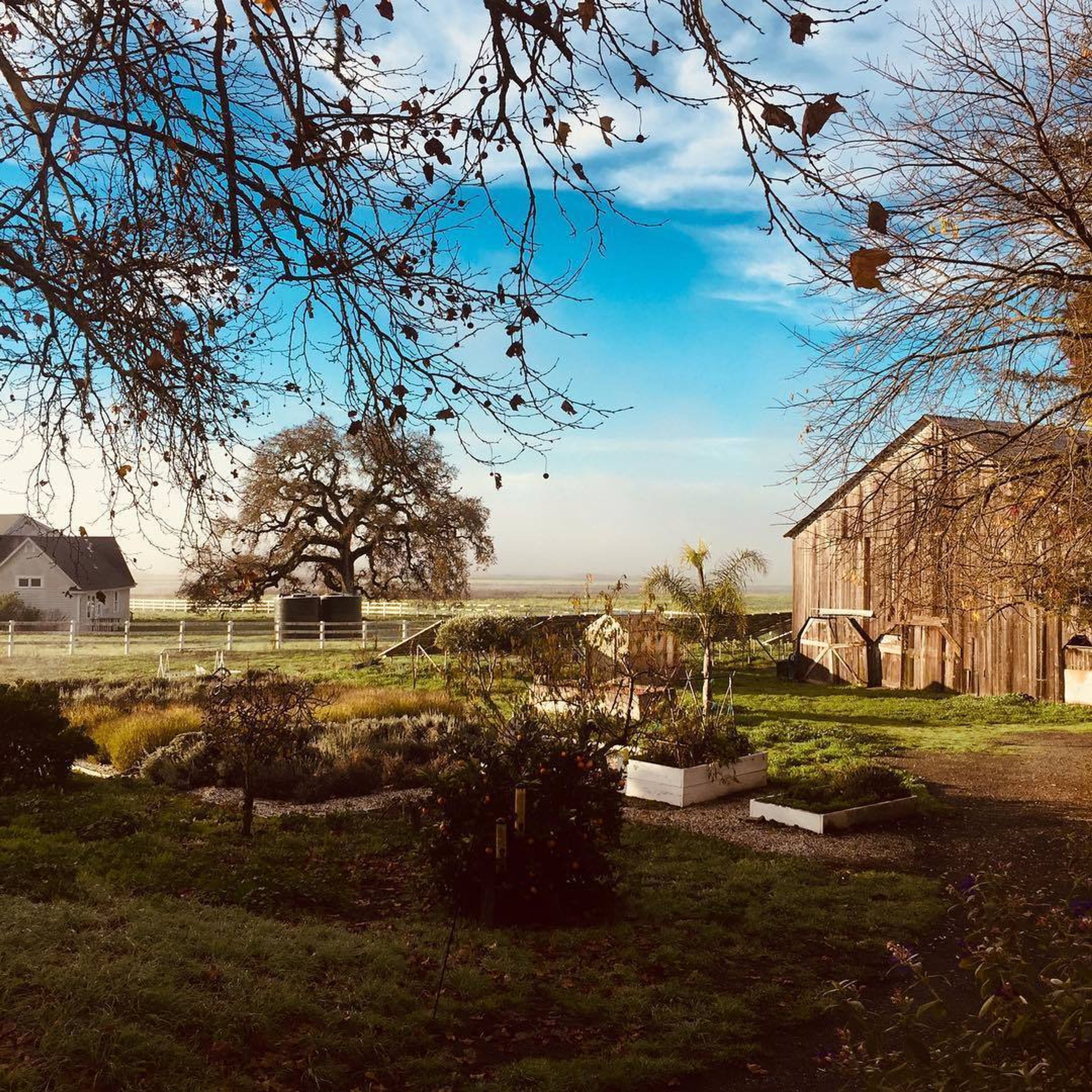 Cover photo of The Gables Wine Country Inn