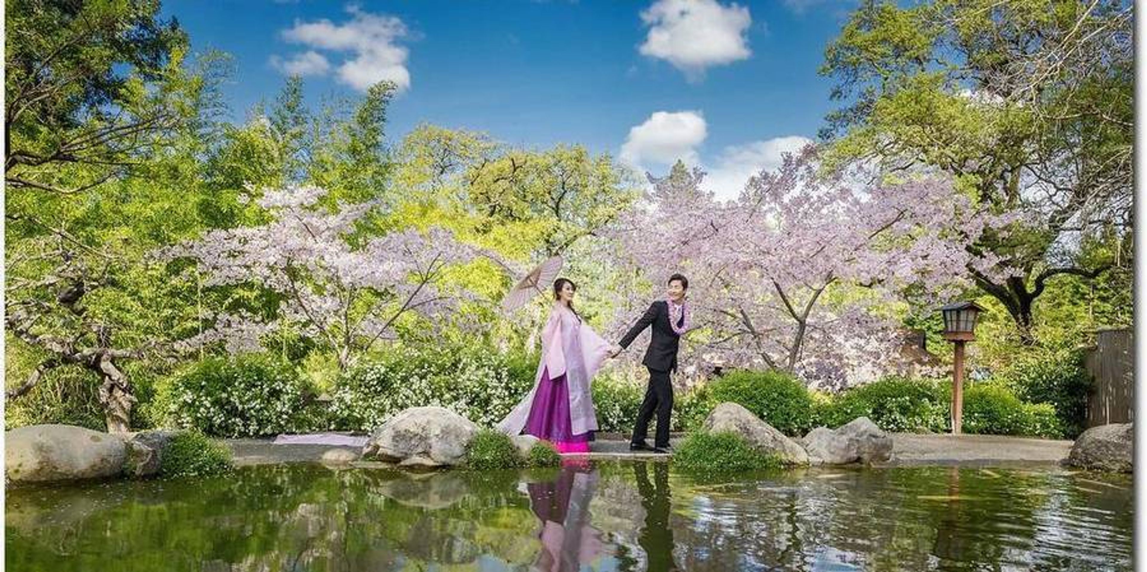 Cover photo of Hakone Estate and Gardens