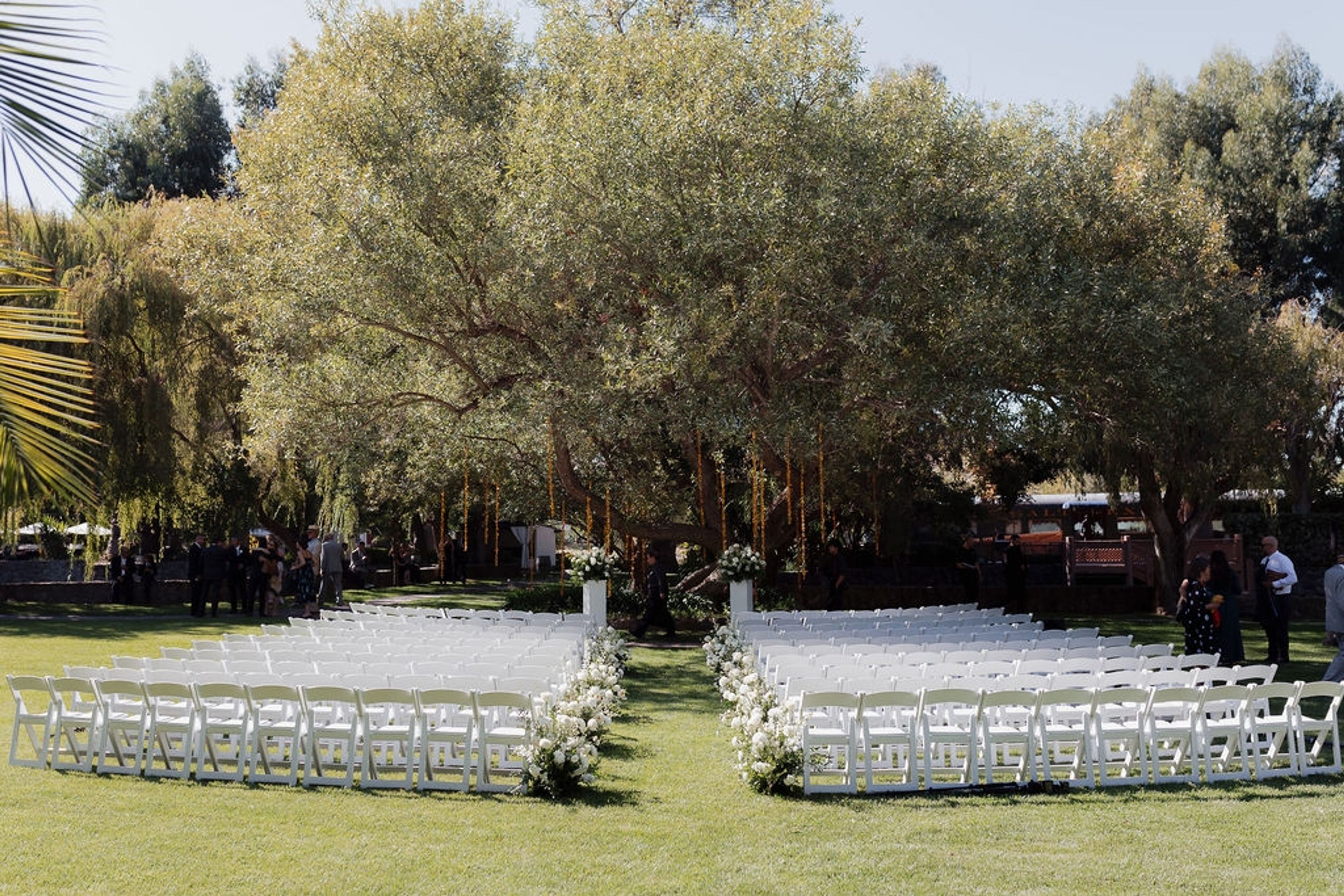 Cover photo of Cline Family Cellars