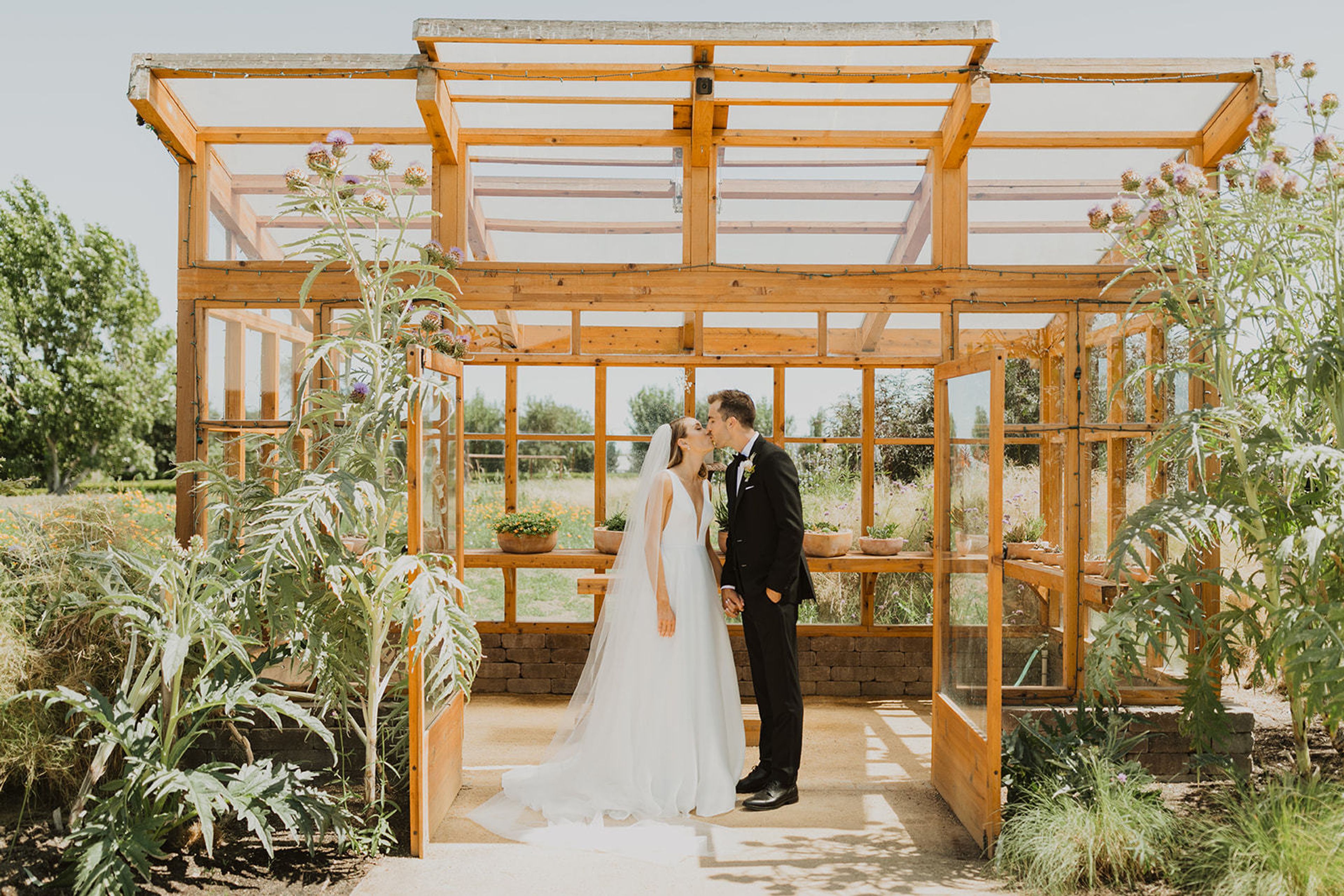 Cover photo of Cornerstone Sonoma