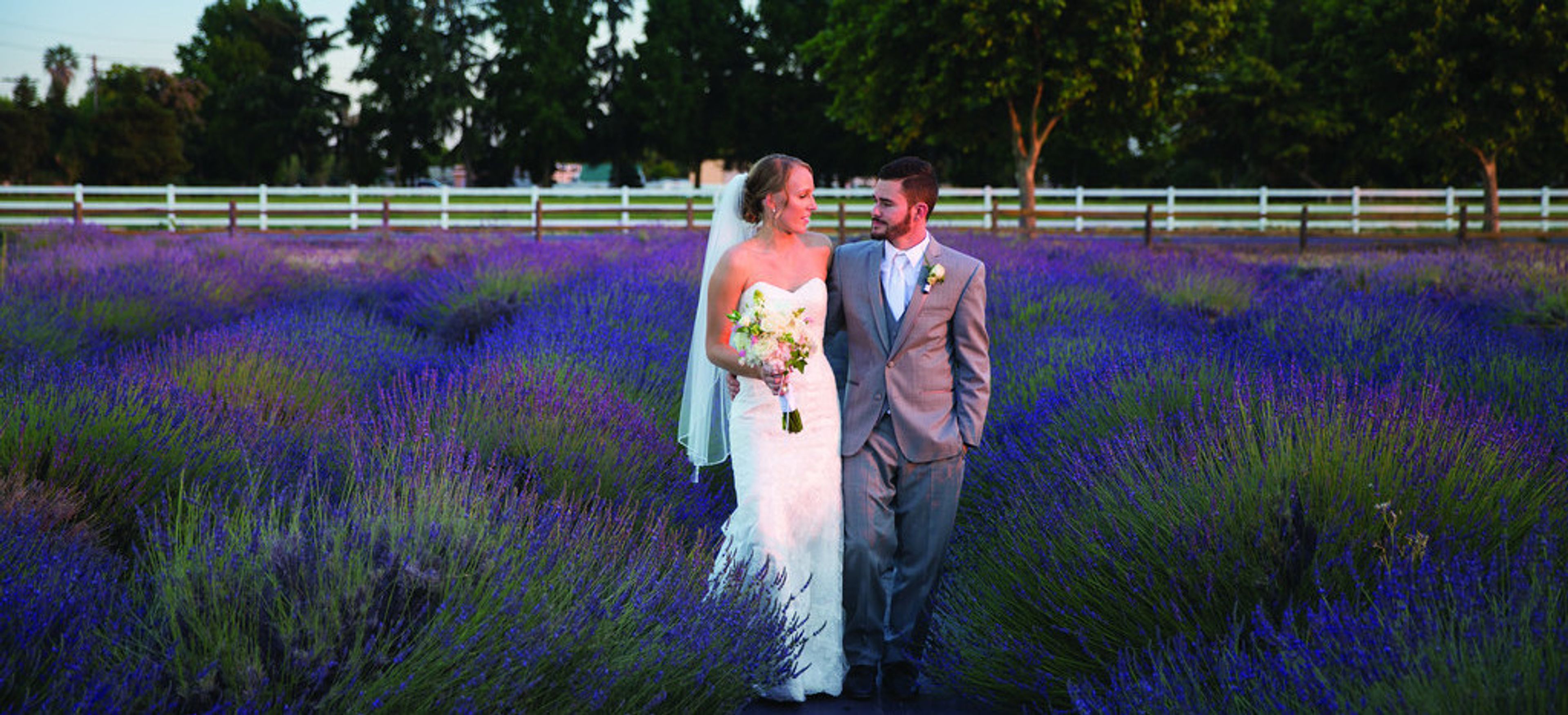 Cover photo of Pageo Lavender Farm