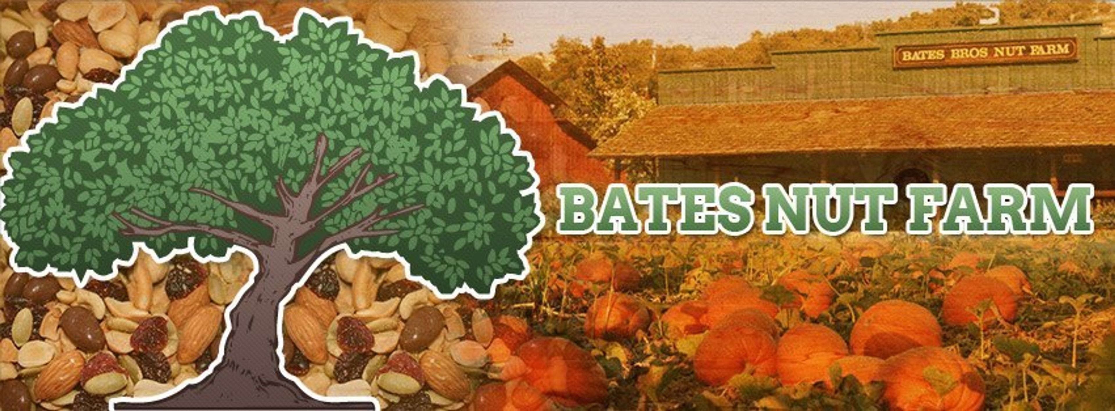 Cover photo of Bates Nut Farm
