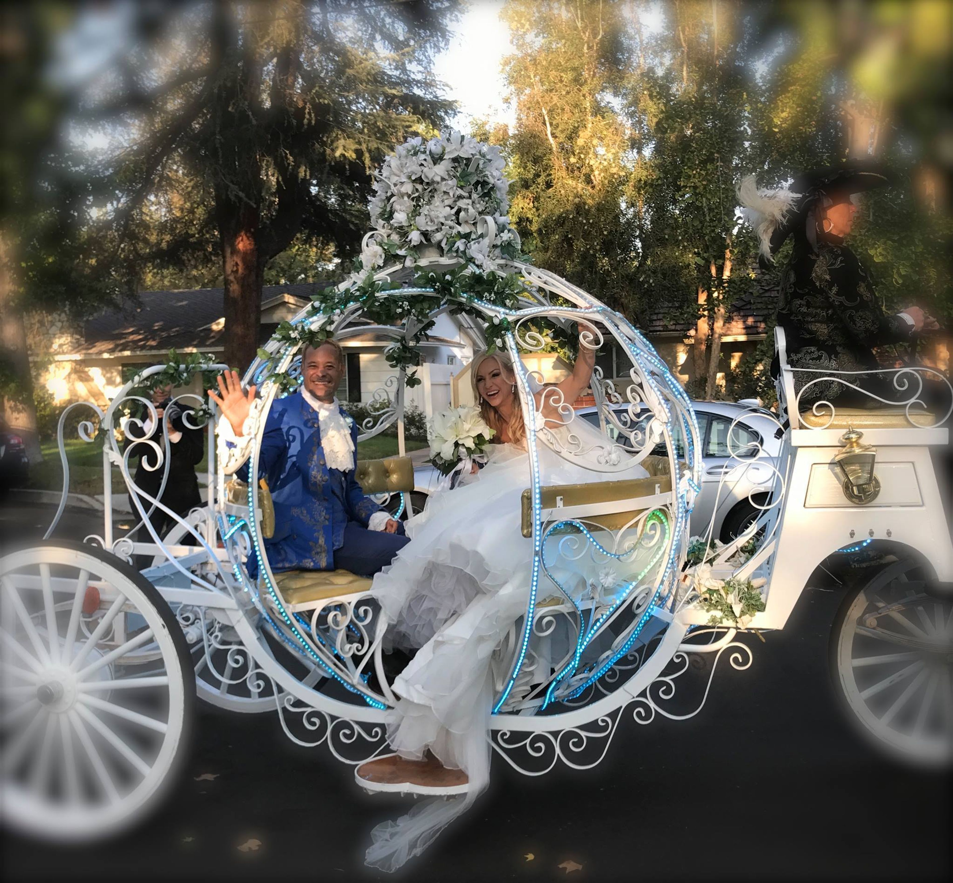 Cover photo of The Enchanted Manor