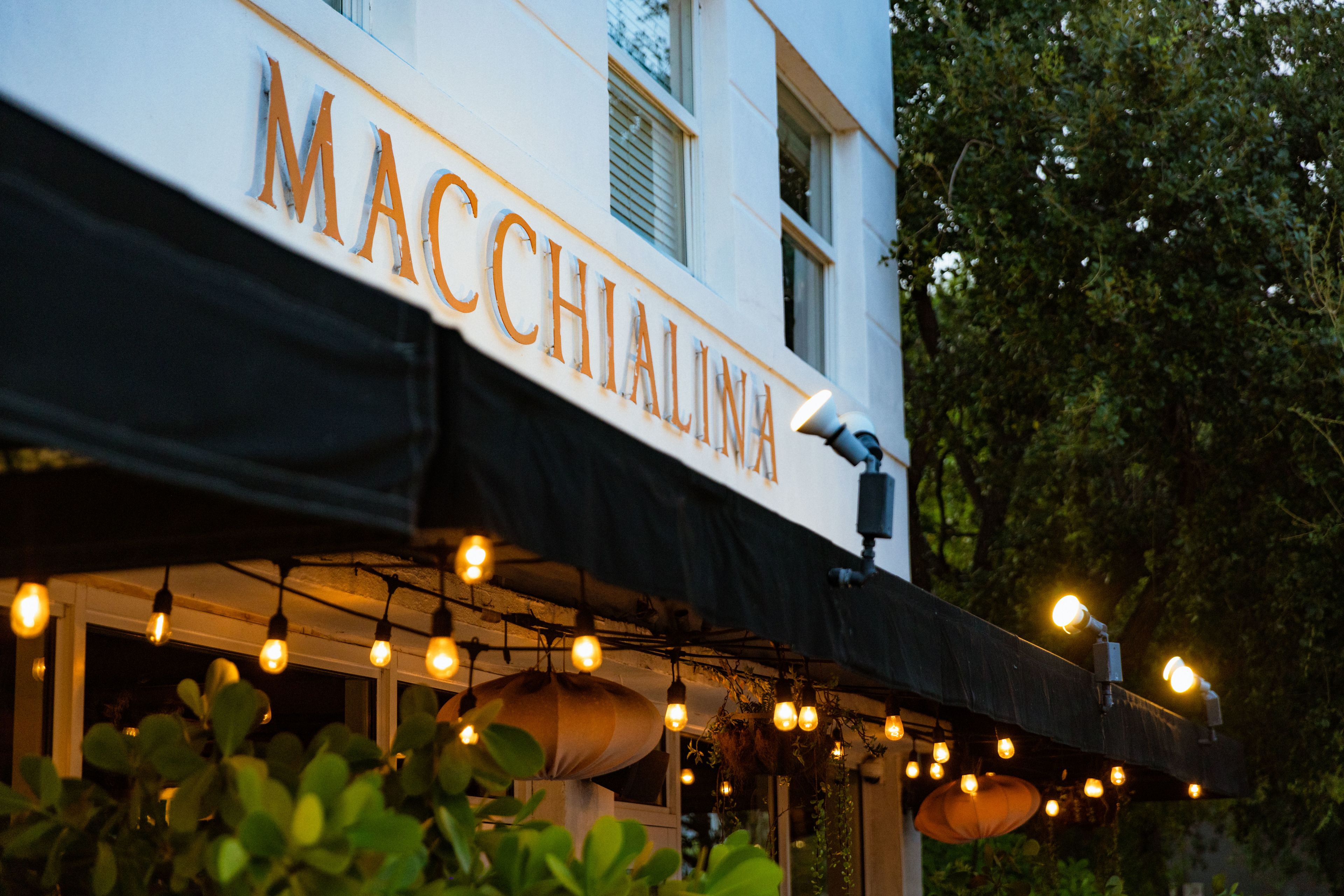 Cover photo of Macchialina