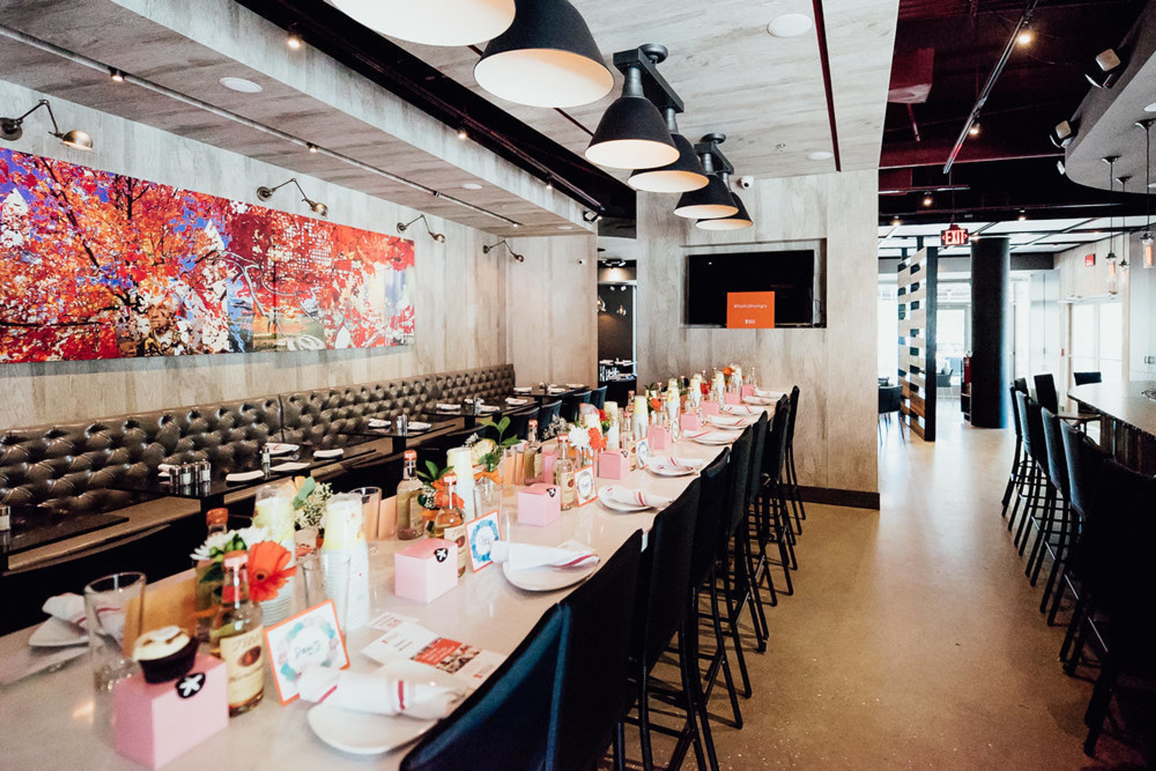 Cover photo of Scarlet Oak