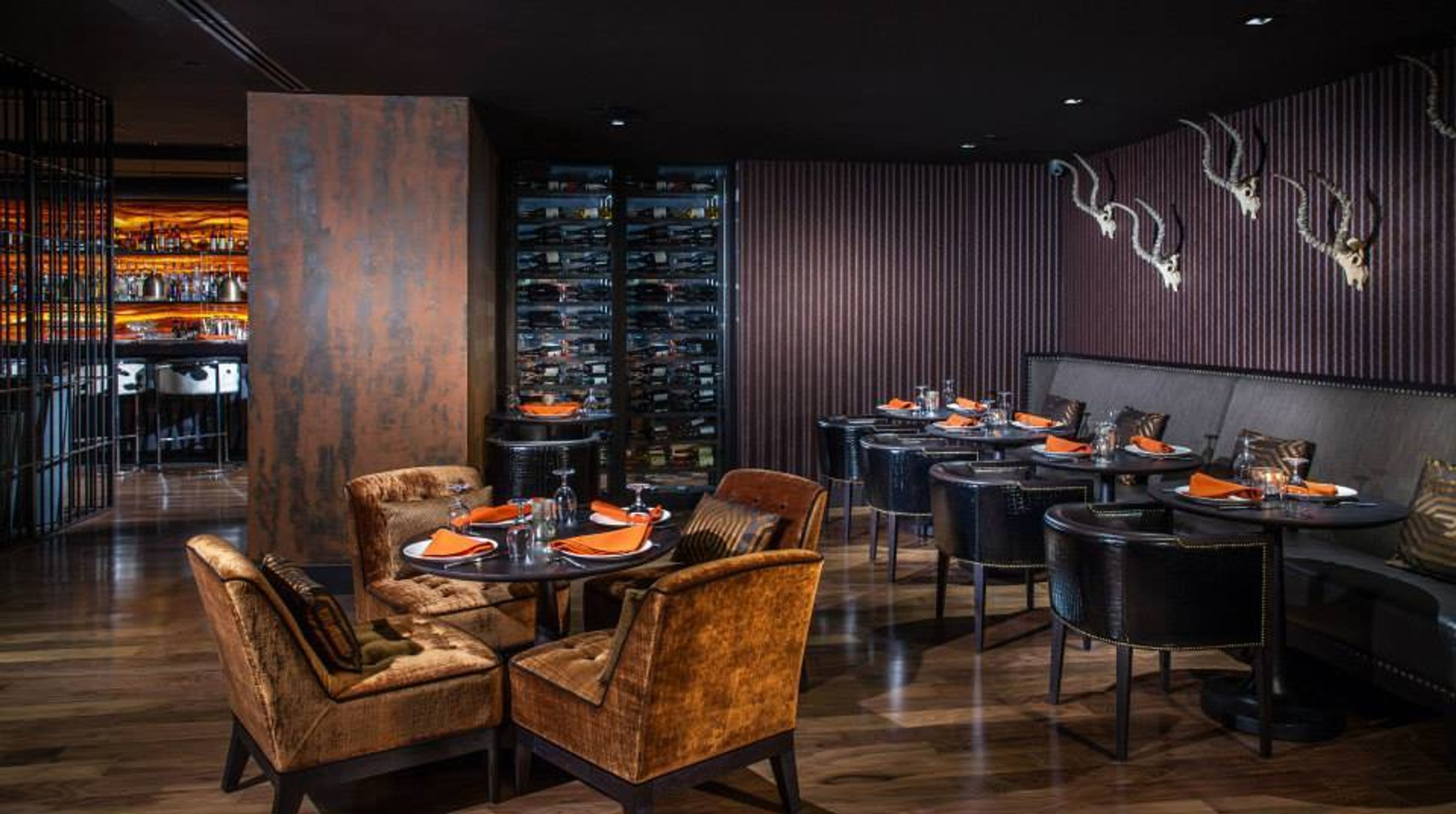 Cover photo of Toro Toro, Washington DC