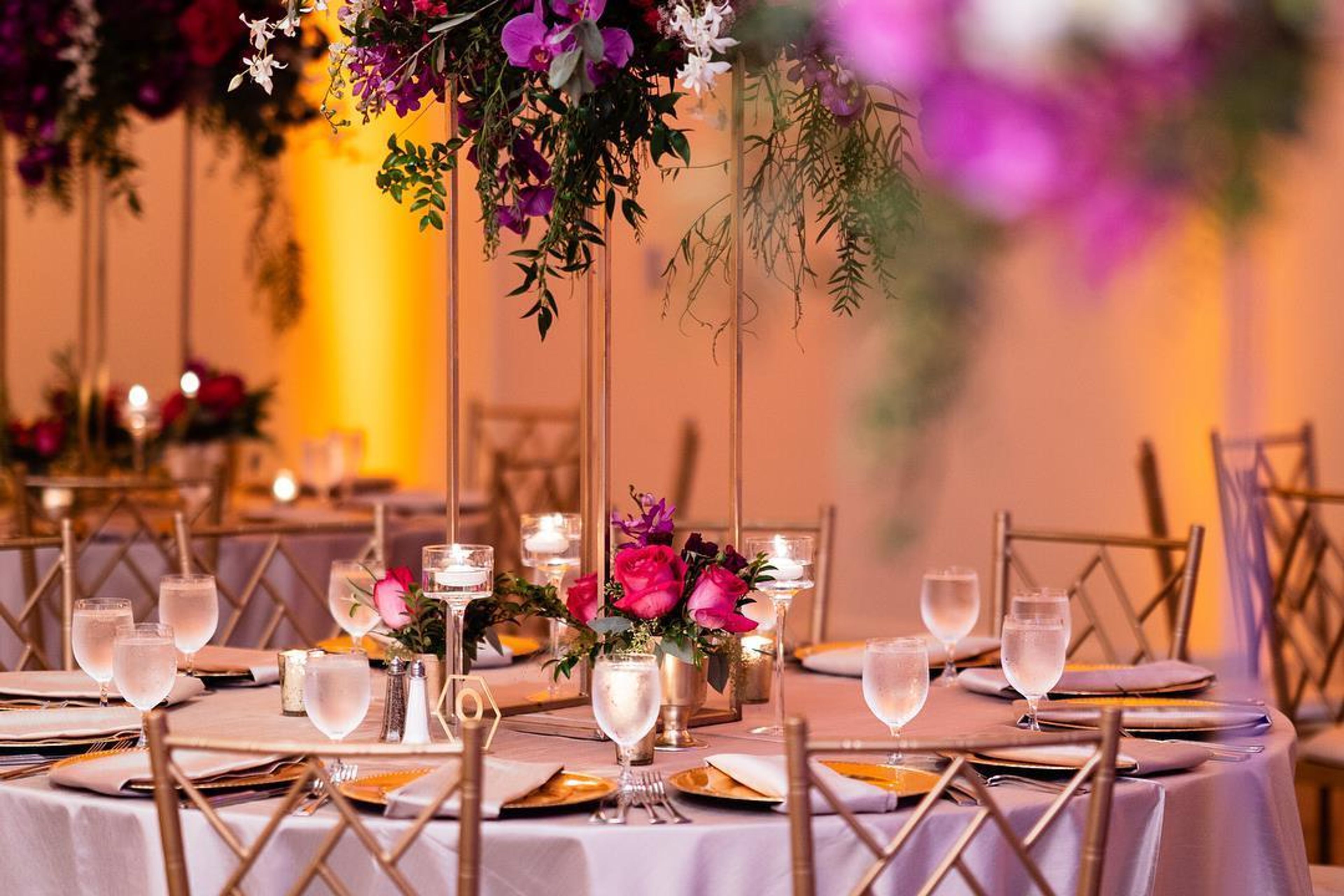 Cover photo of Designer Dana