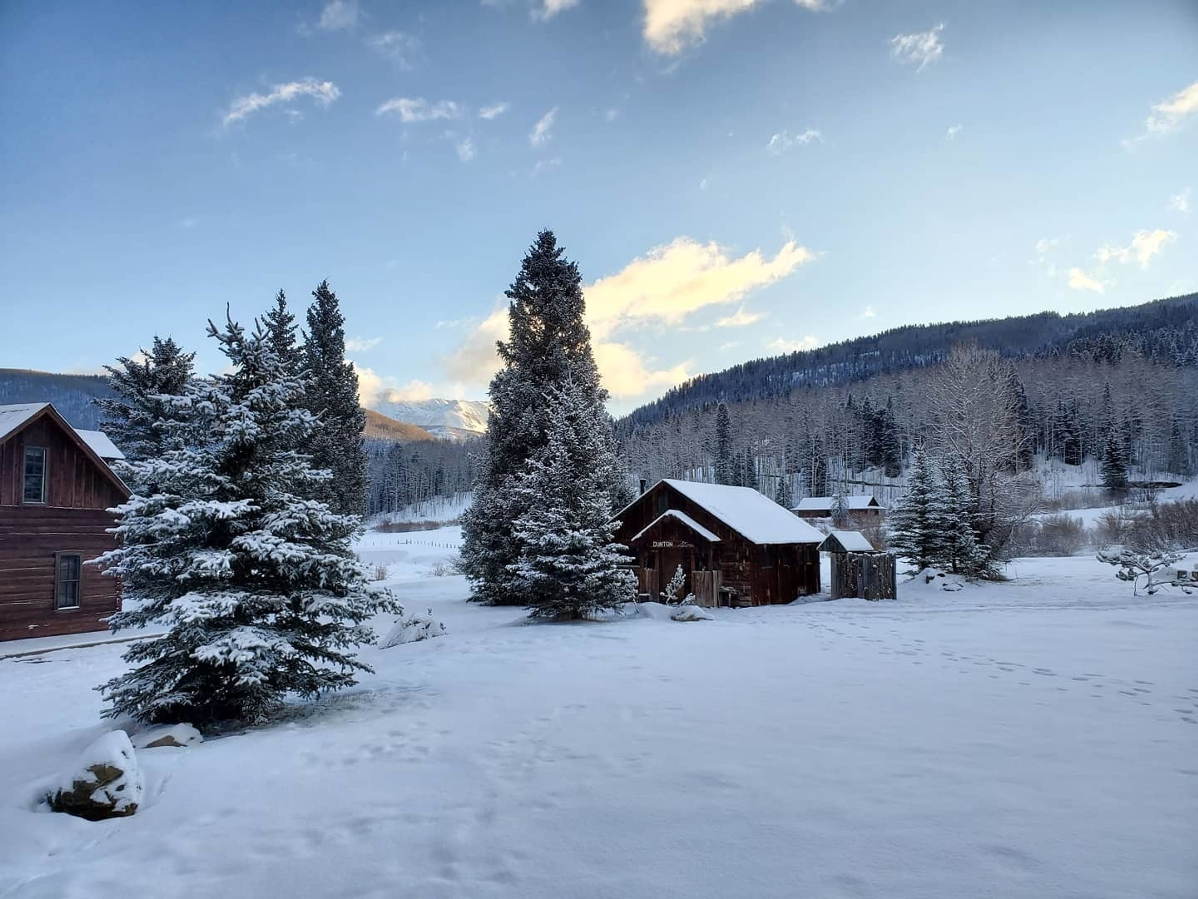 Cover photo of Dunton