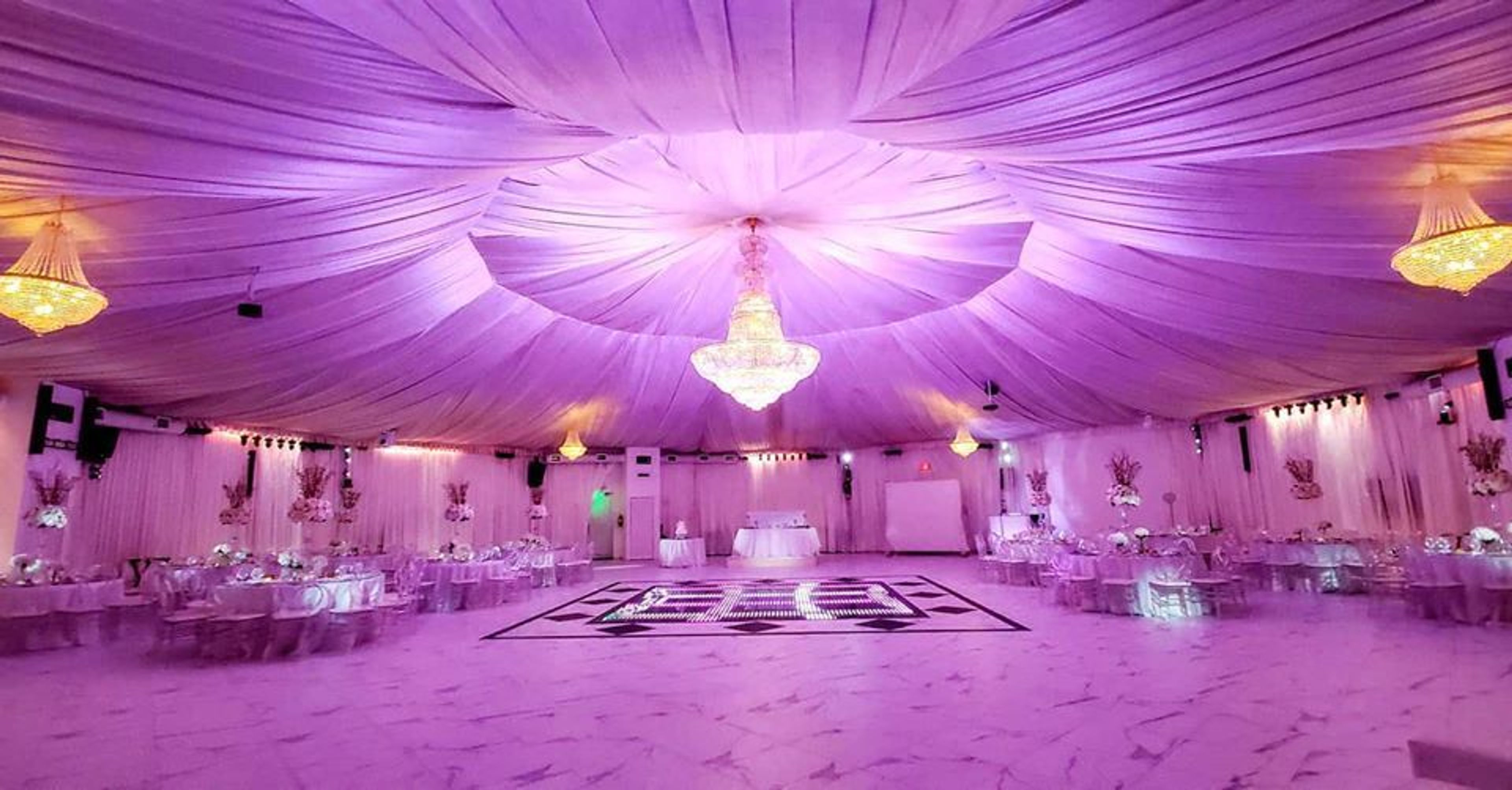 Cover photo of Unique Palms