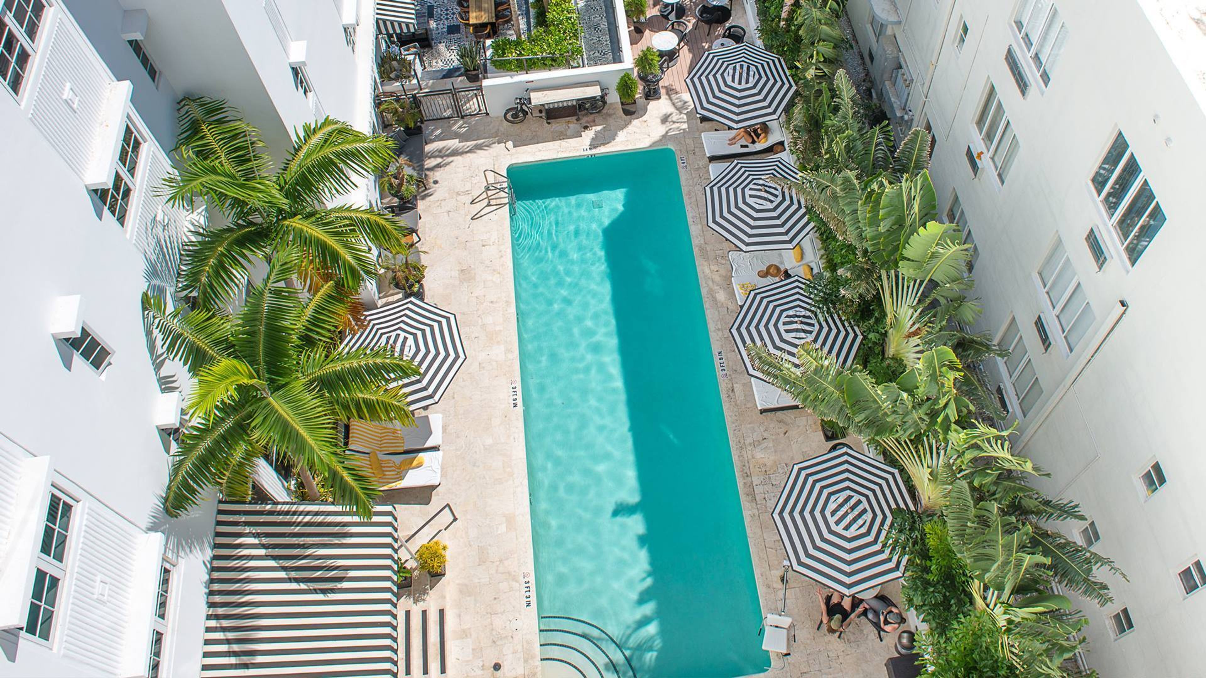 Cover photo of Hotel Croydon Miami Beach