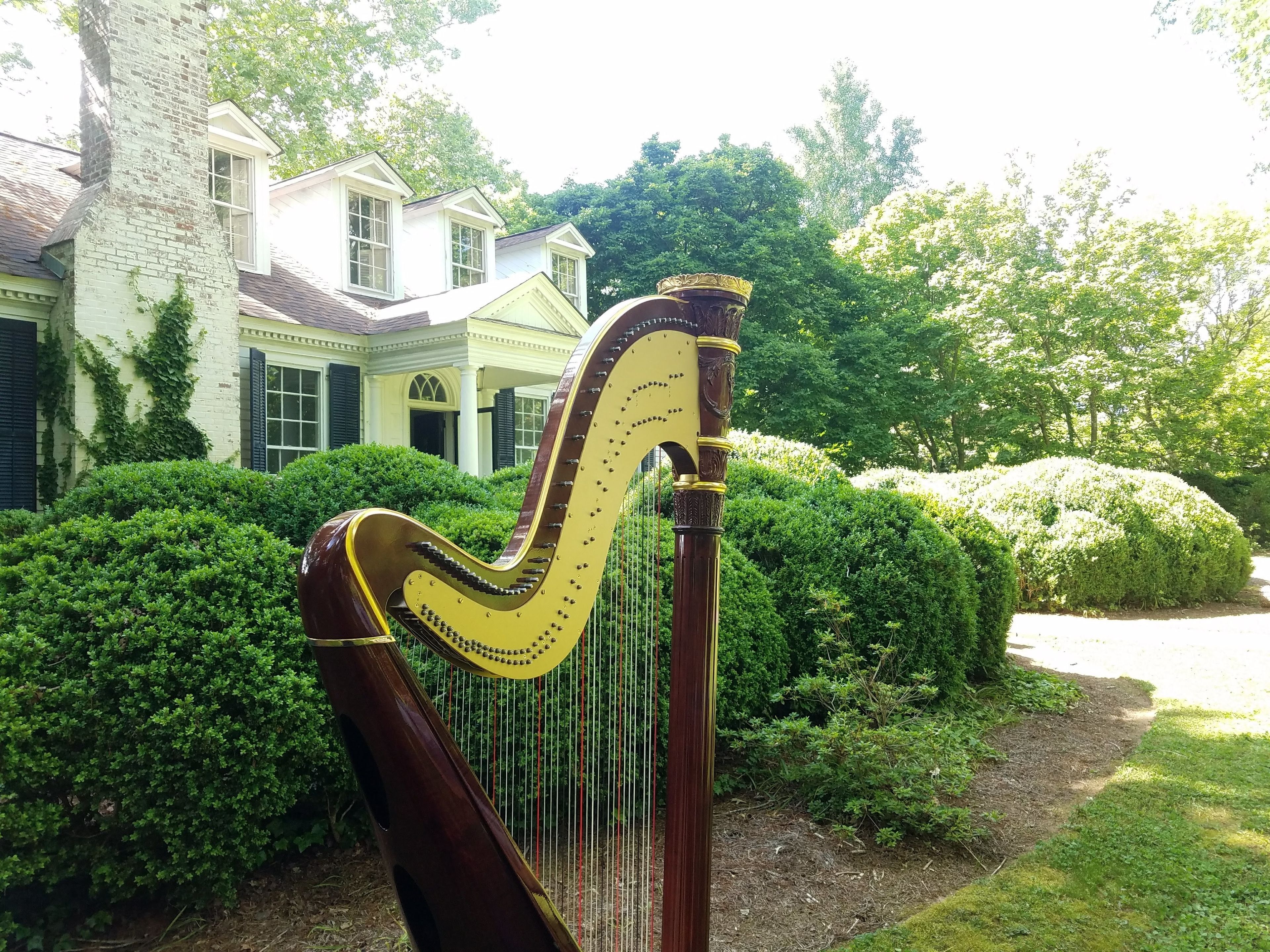 Cover photo of Harp & Soul