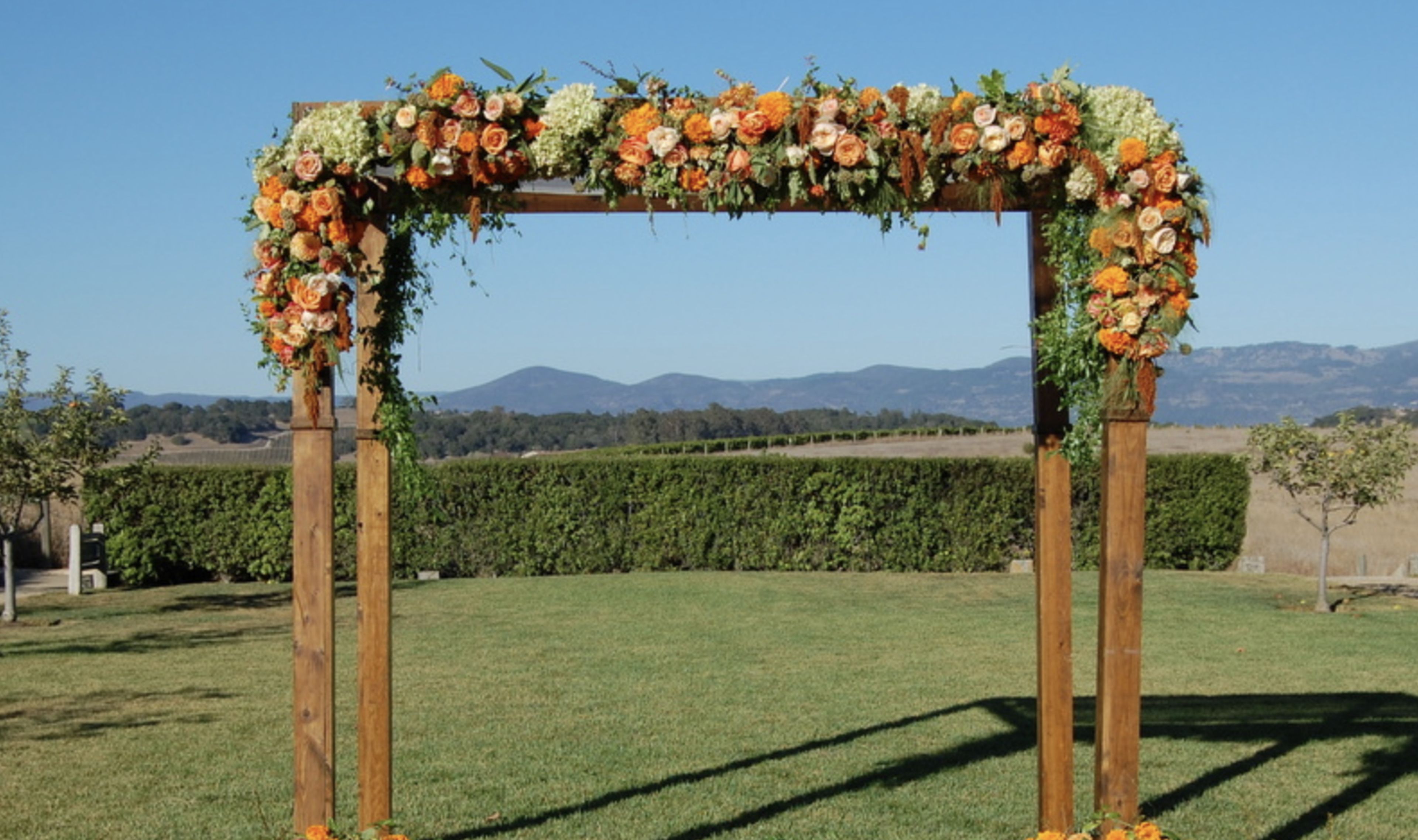 Cover photo of Under the Chuppah