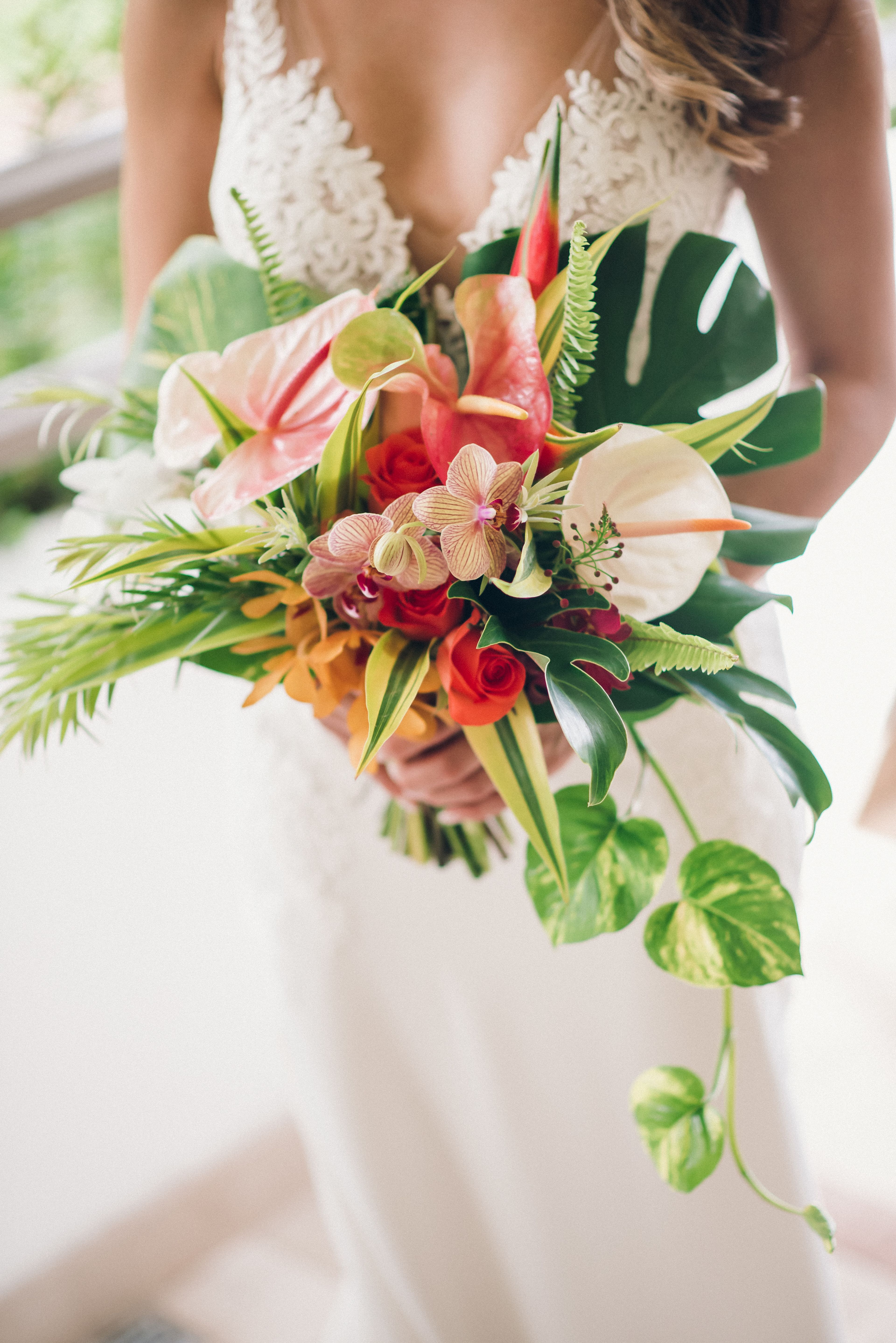 Cover photo of Flores de Campos