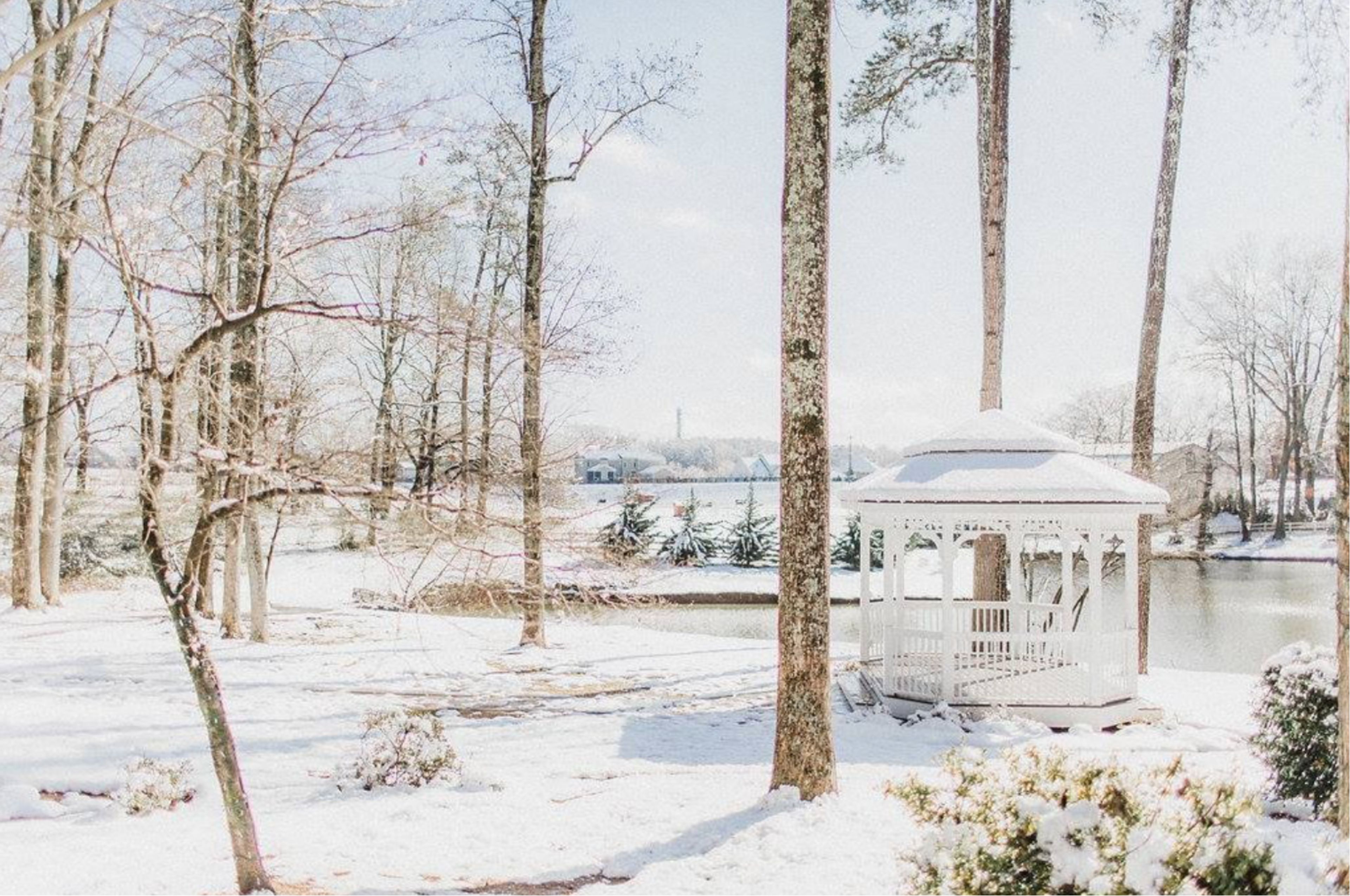 Cover photo of Little River Farms