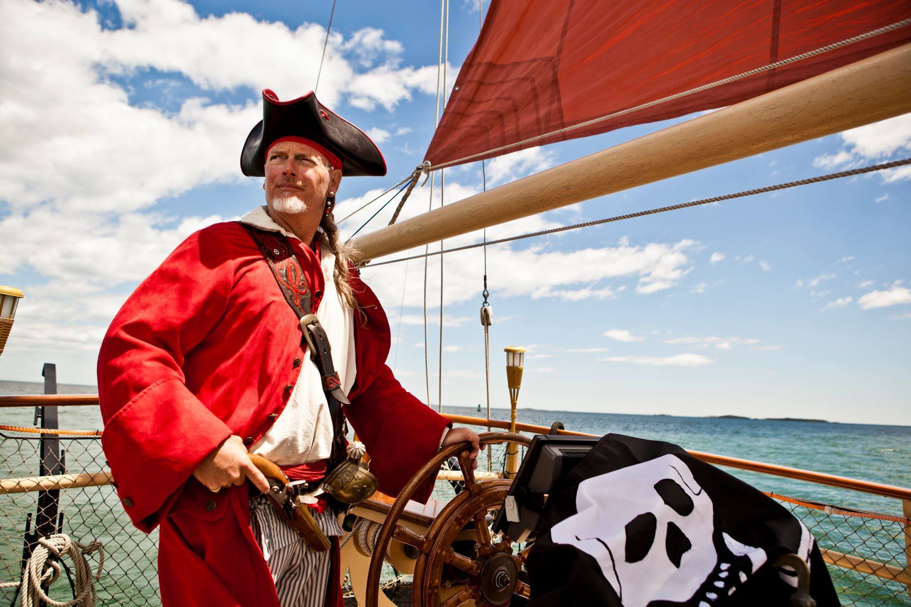 Cover photo of The Pirate Ship Formidable