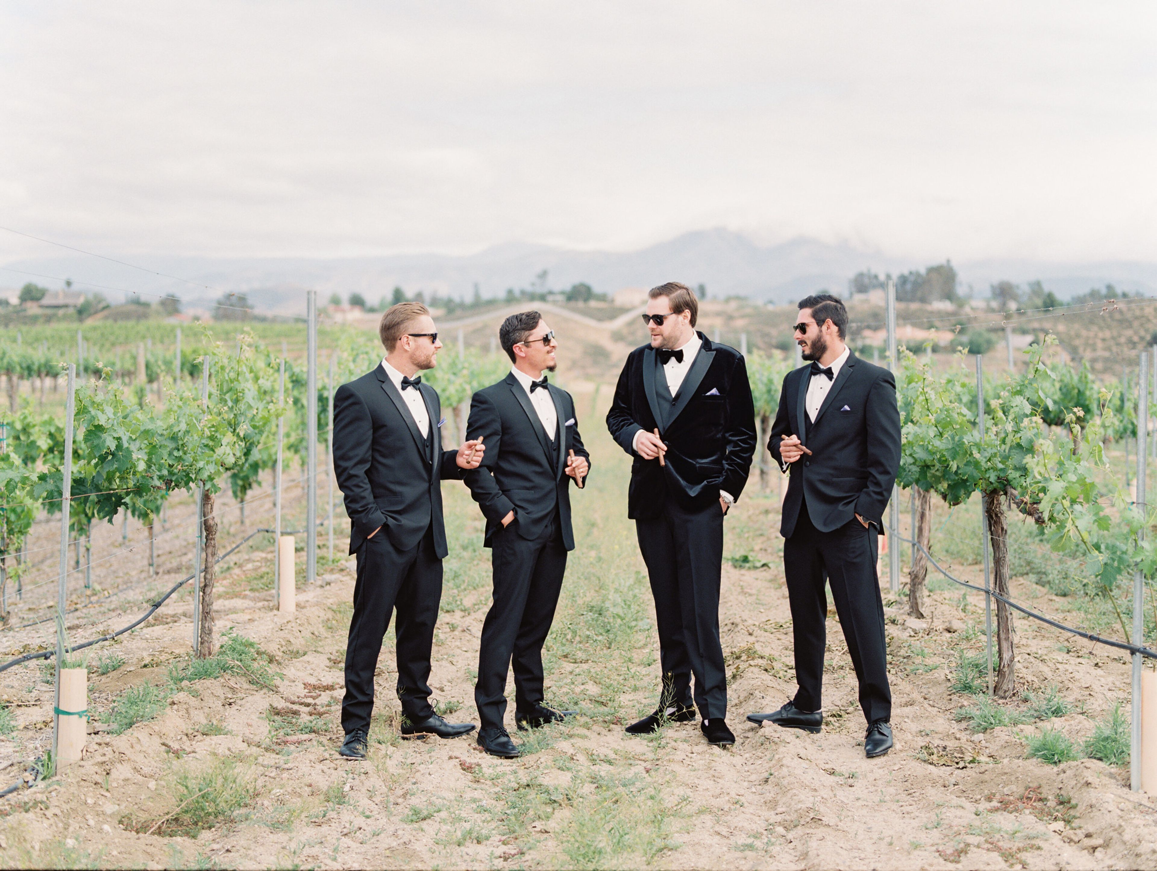 Cover photo of Taryn Grey Photography