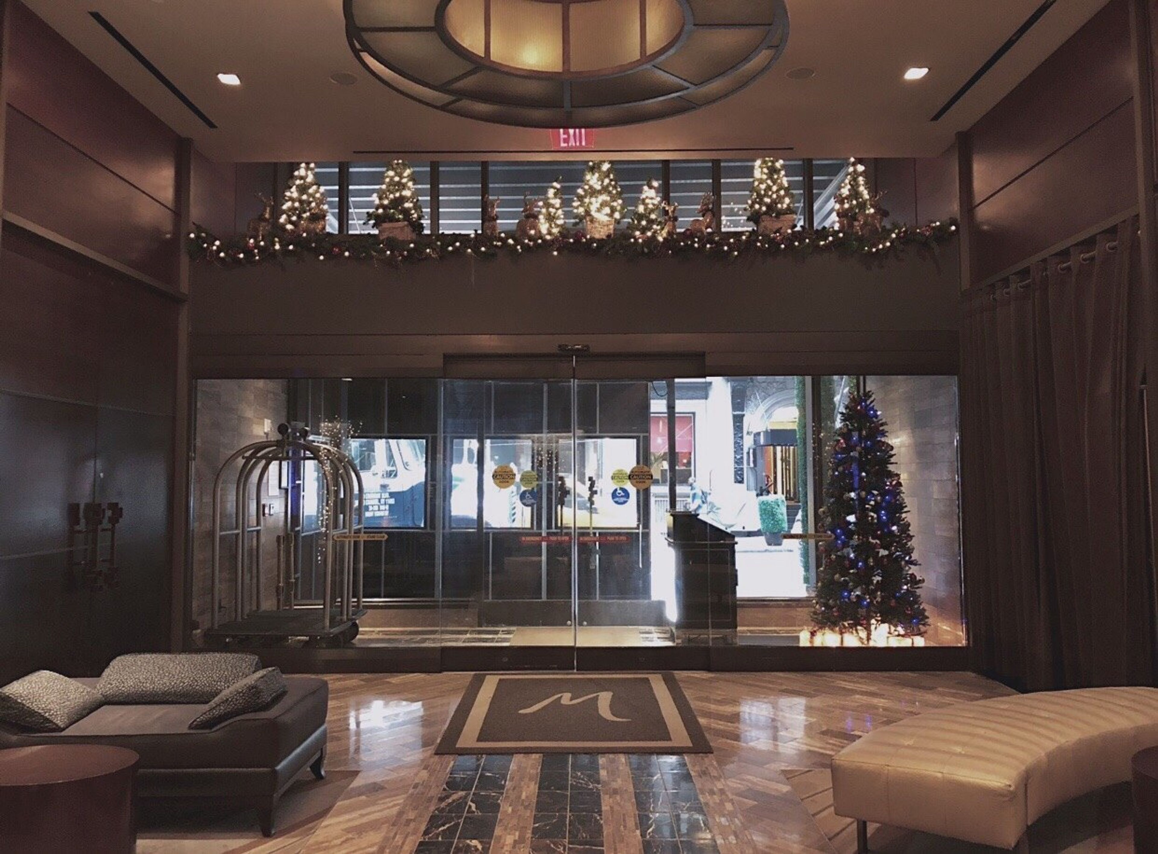 Cover photo of The Muse New York