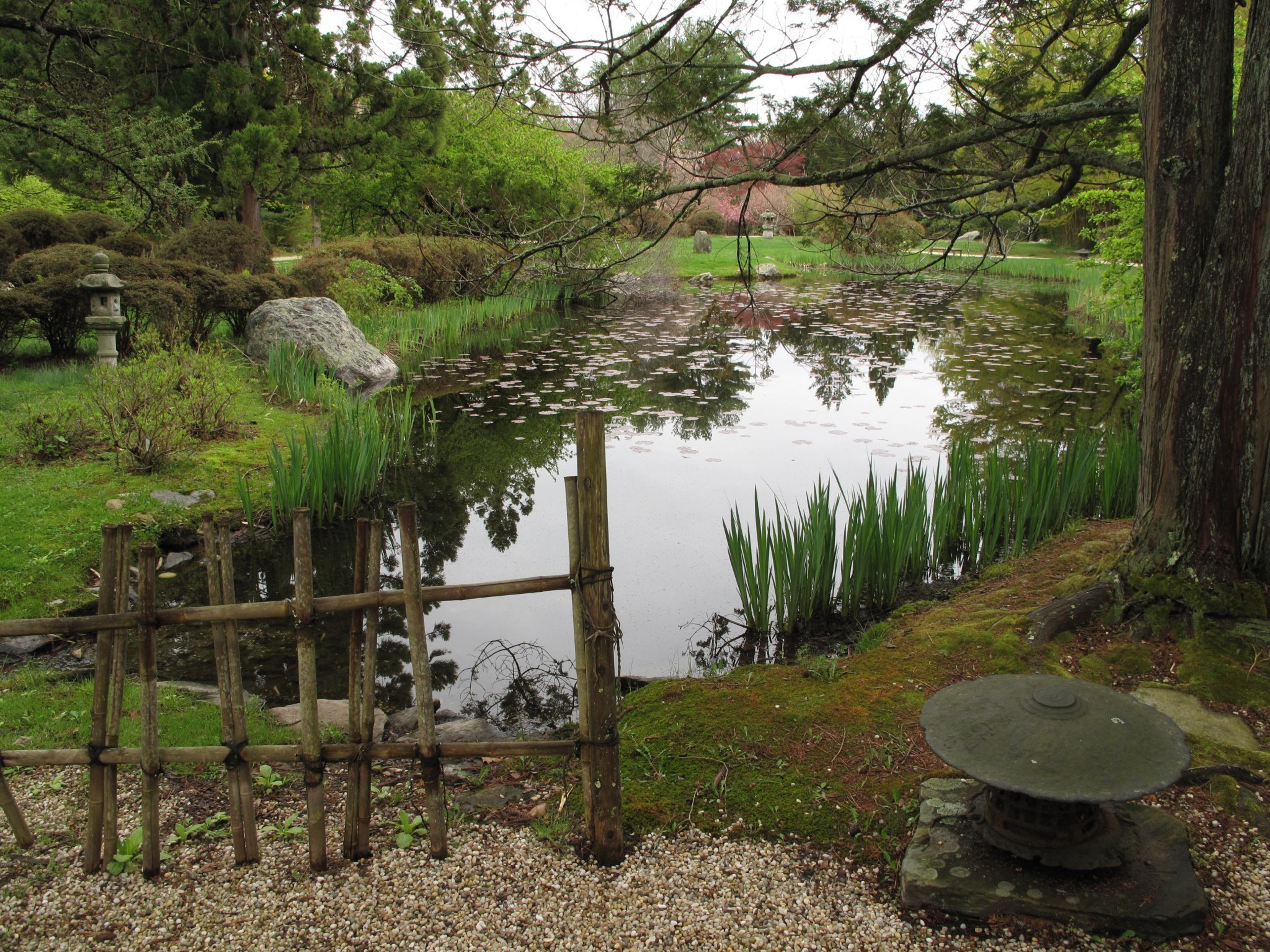 Cover photo of Hammond Museum & Japanese Stroll Gardens