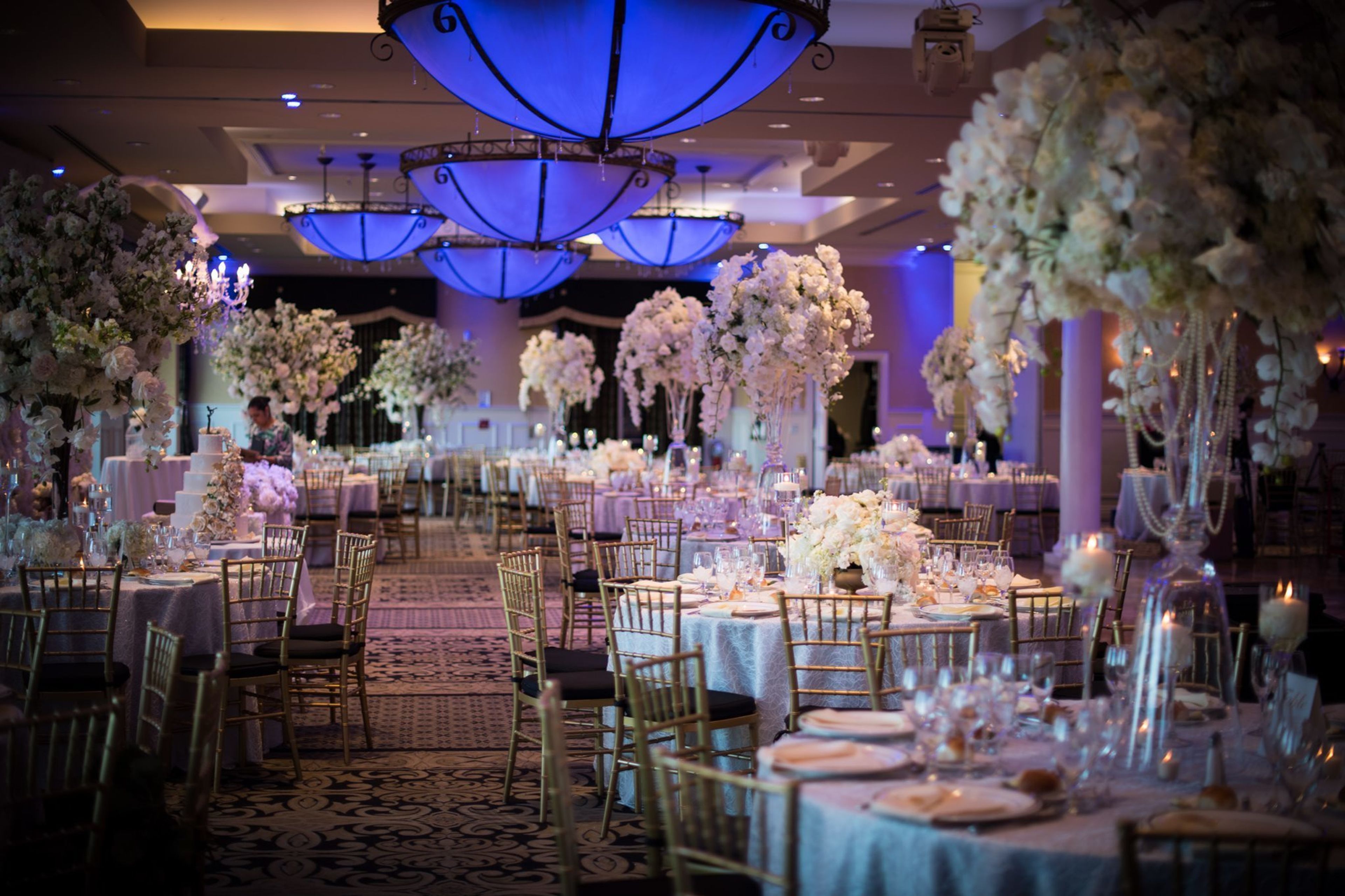 Cover photo of The Vanderbilt at South Beach