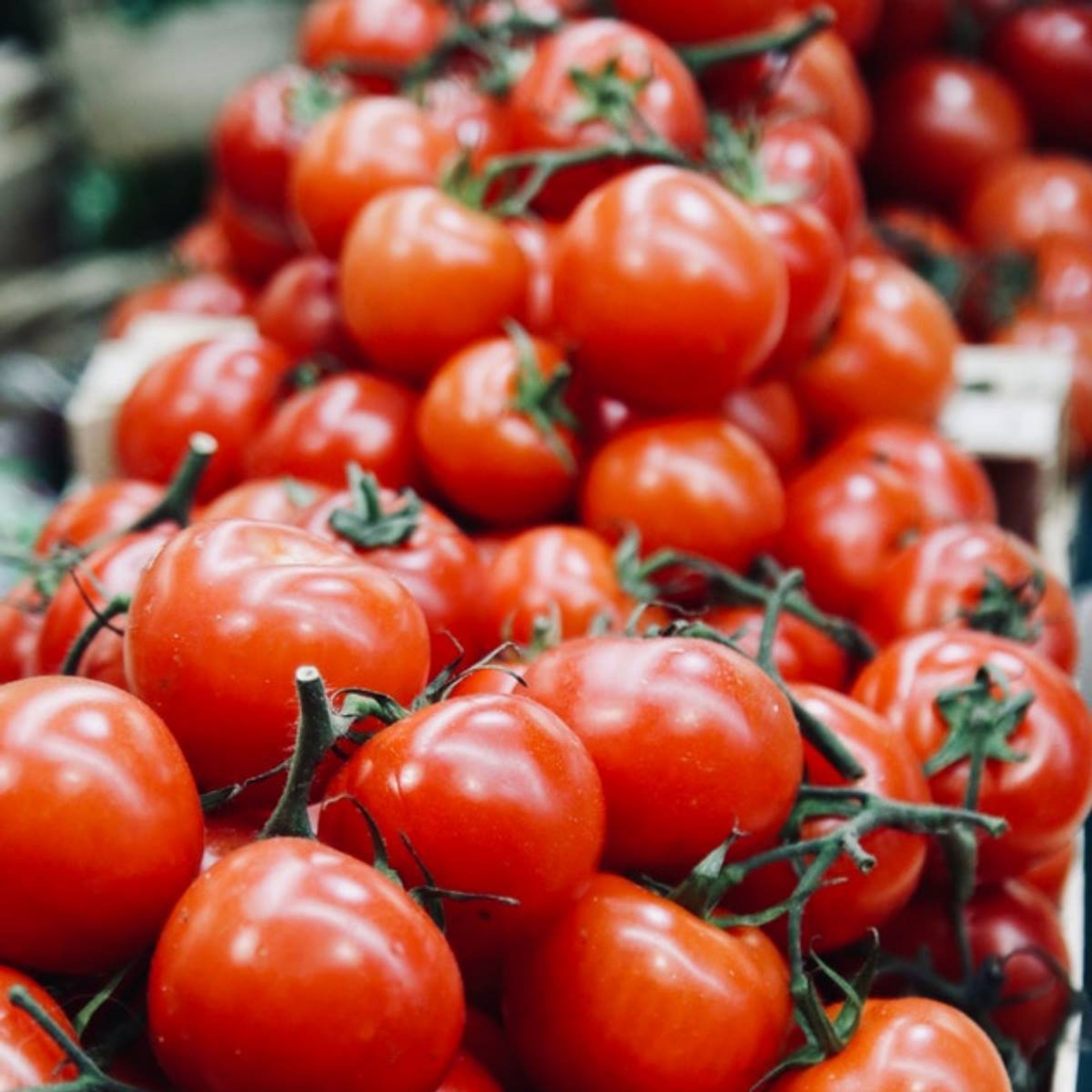 Cover photo of Italian Villa Allen