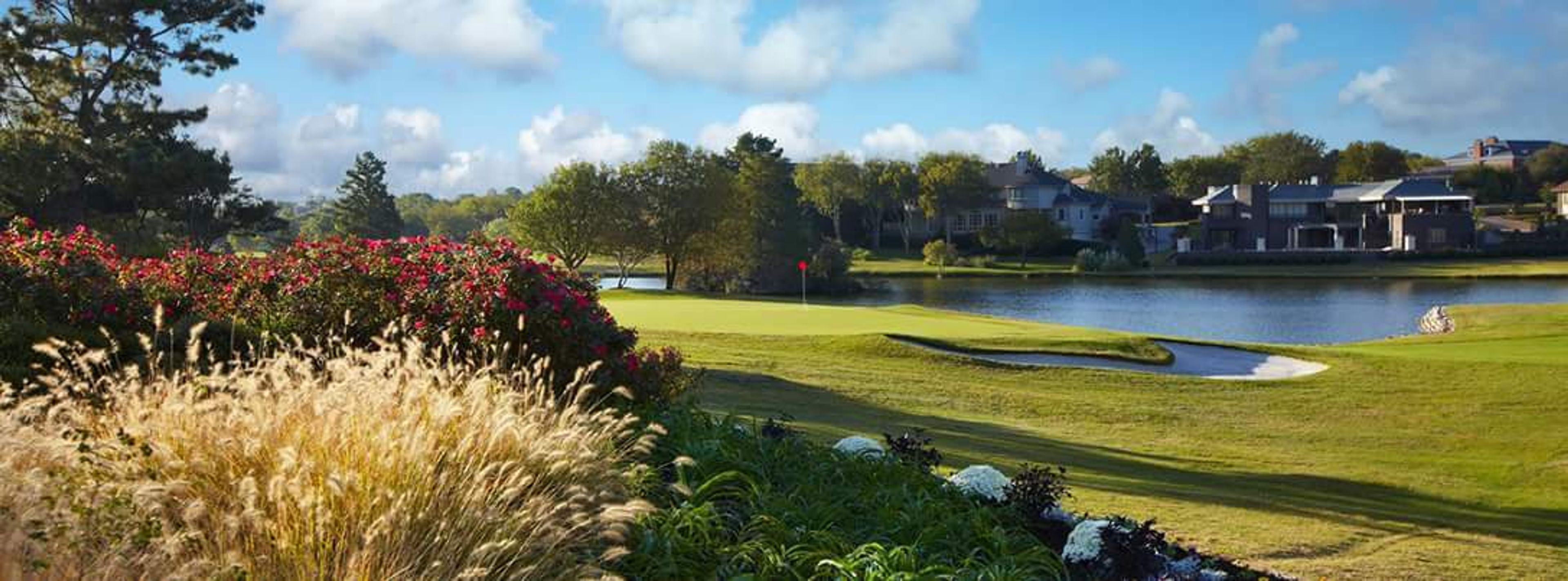 Cover photo of Sheraton Arlington Hotel