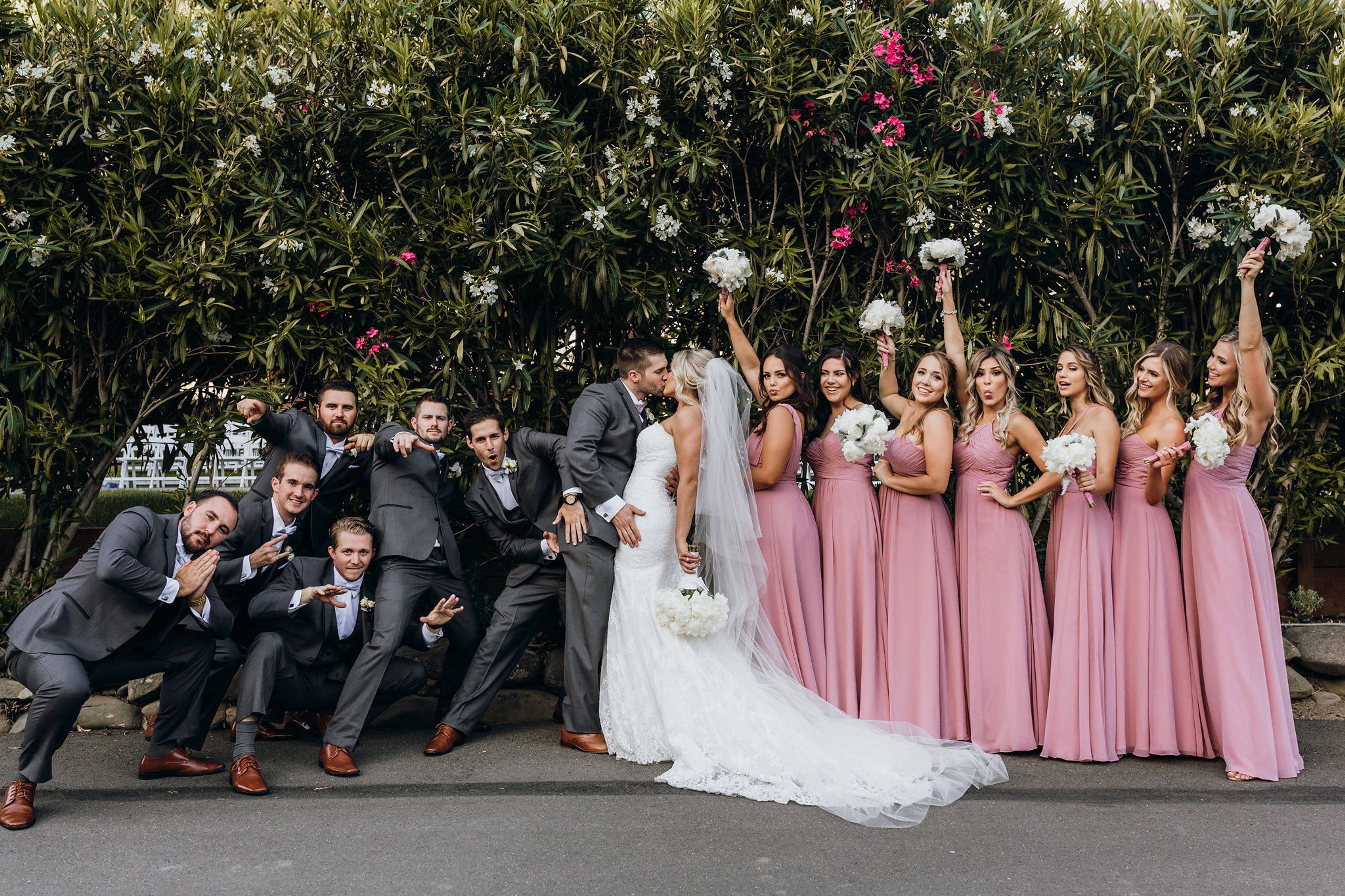 Cover photo of Elliston Vineyards