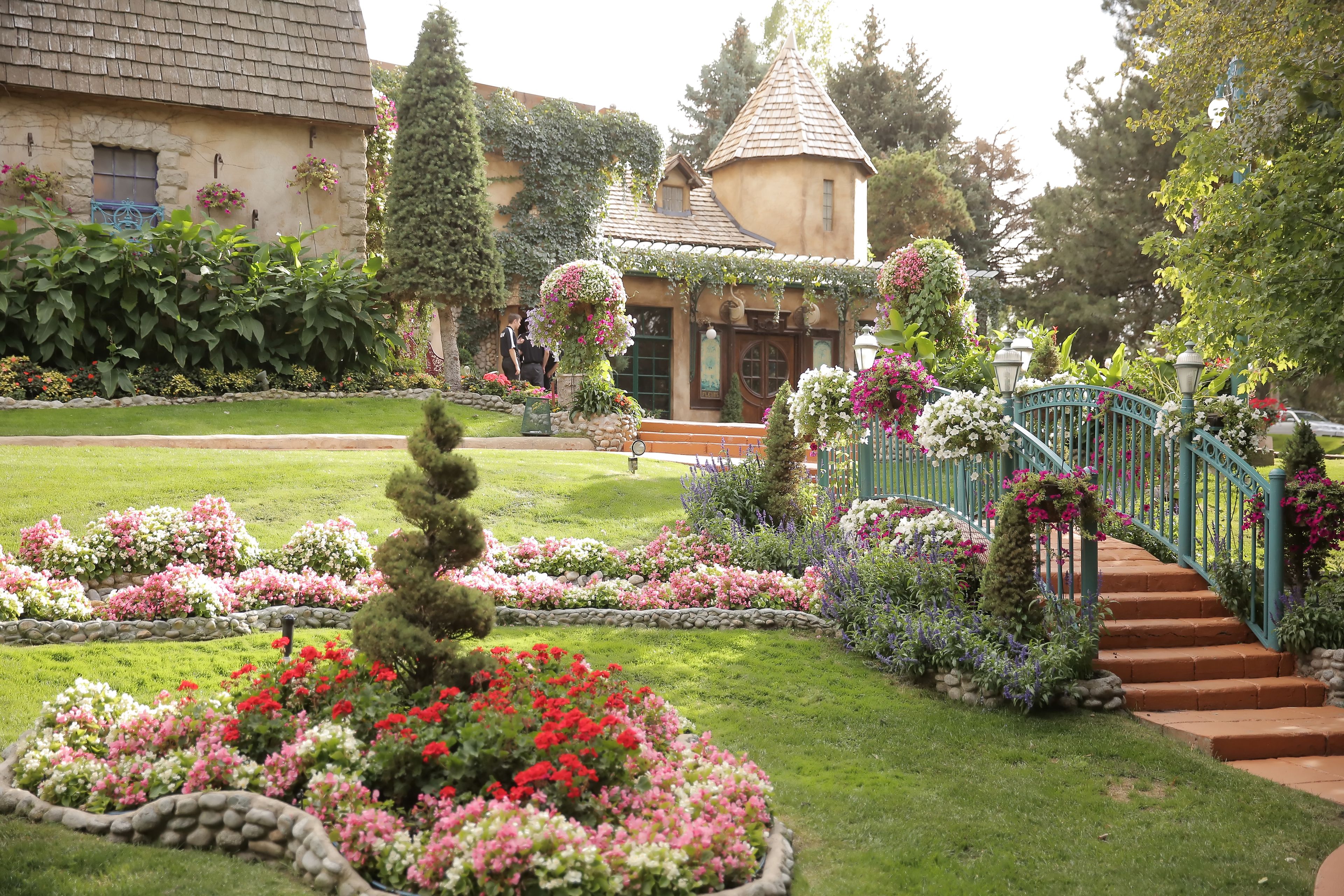 Cover photo of La Caille