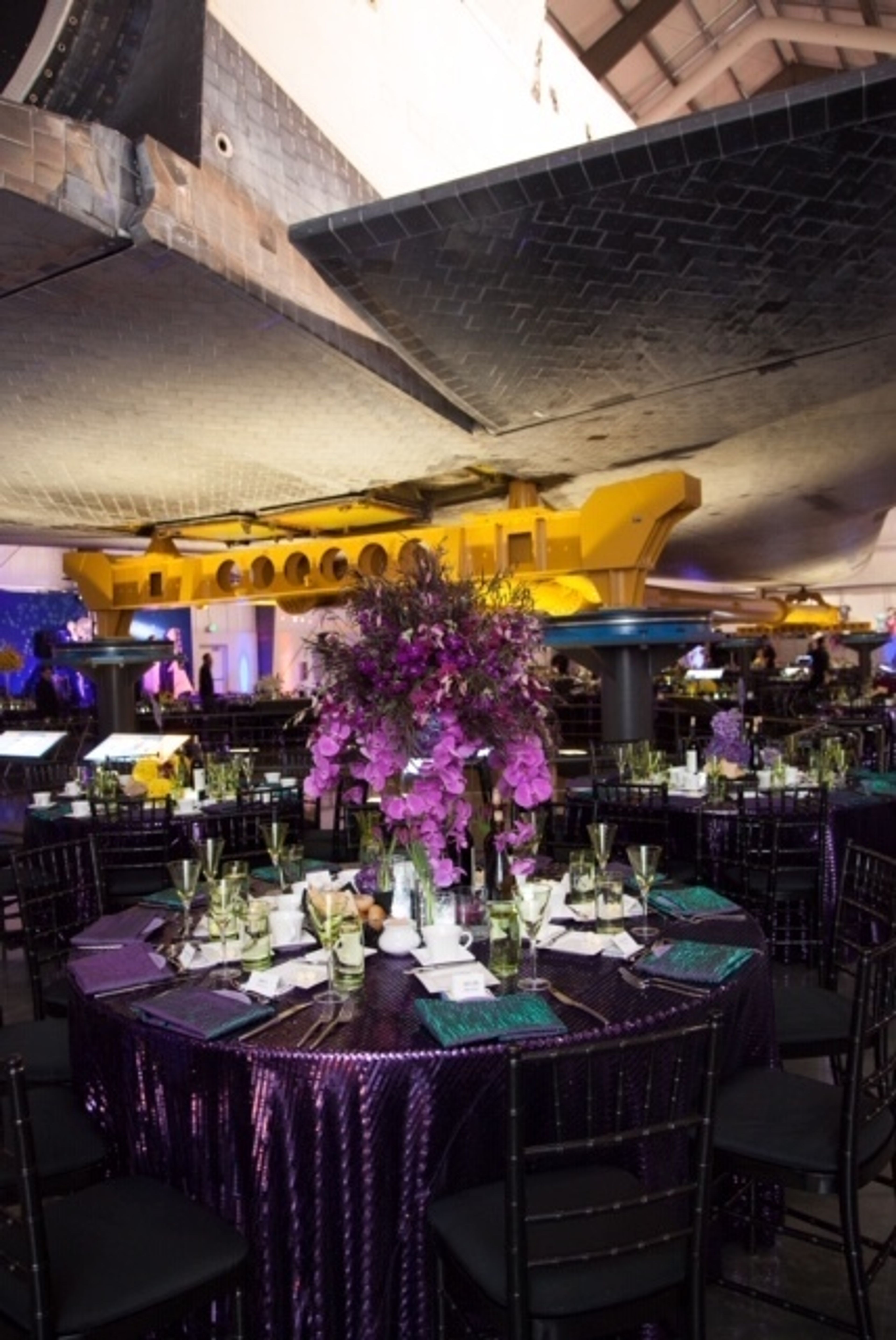 Cover photo of Becca Rillo Photography