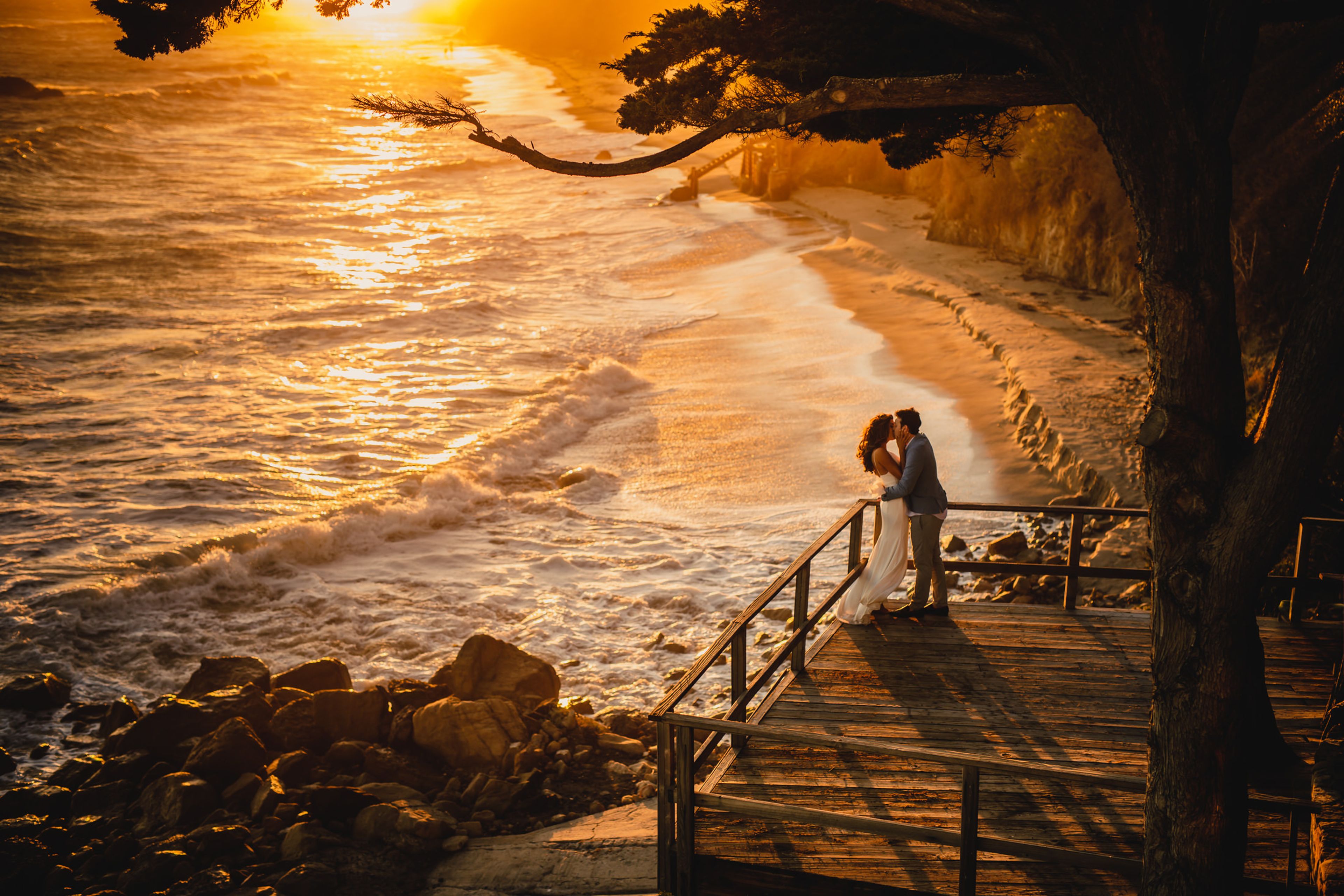 Cover photo of M. Hart Photography