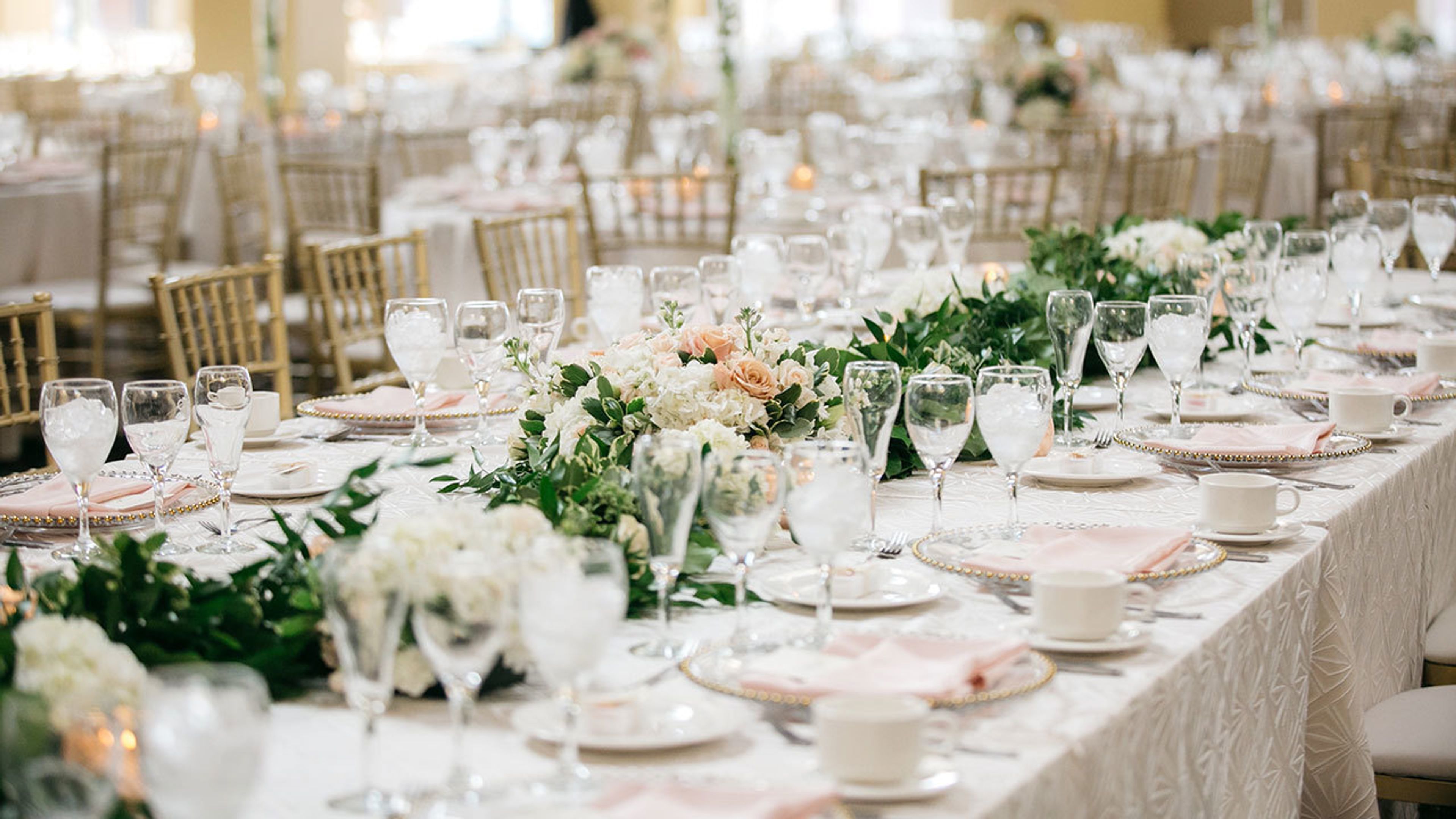 Cover photo of Amanda Dumouchelle Photography