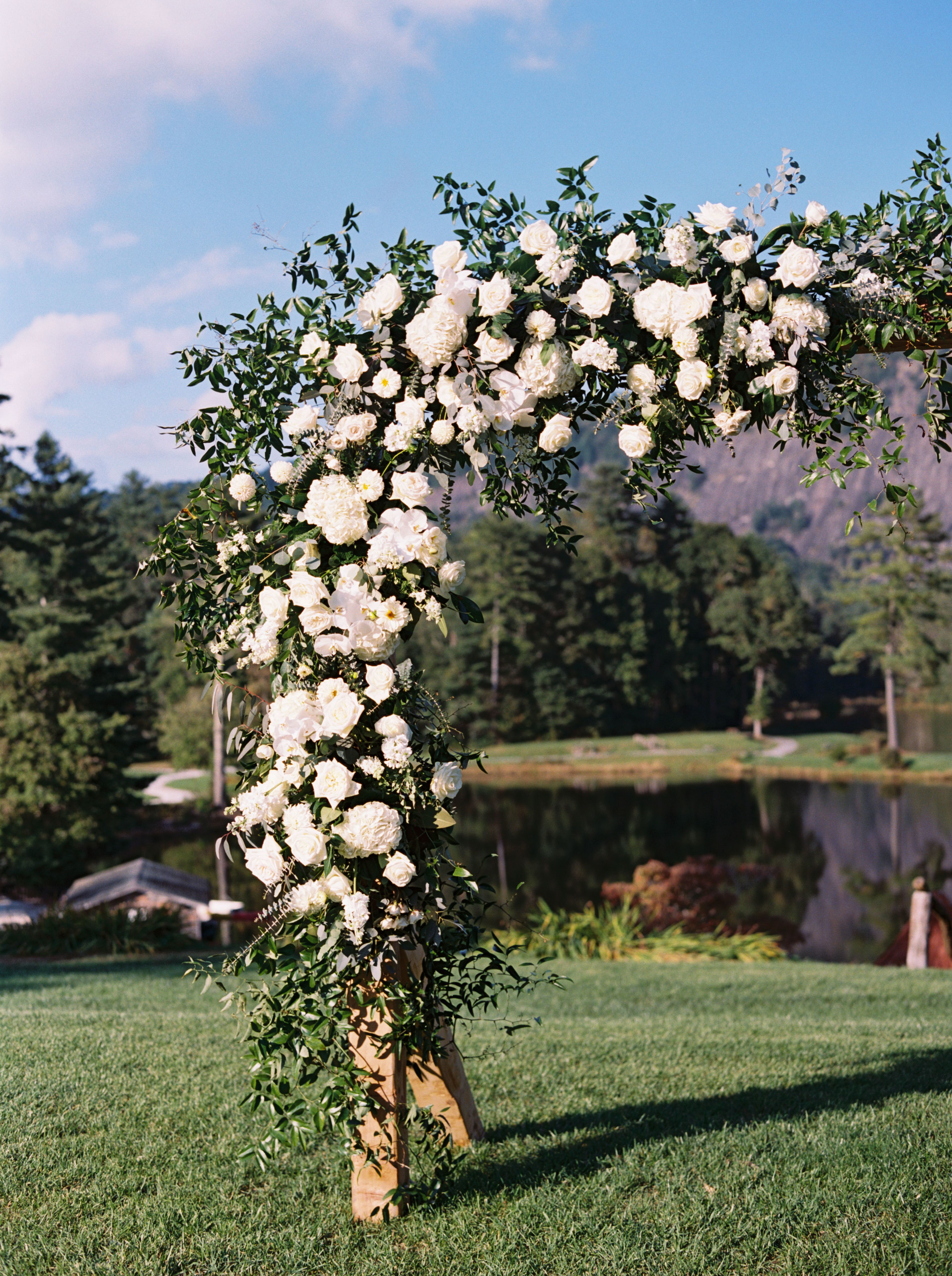 Cover photo of Cream And Flutter