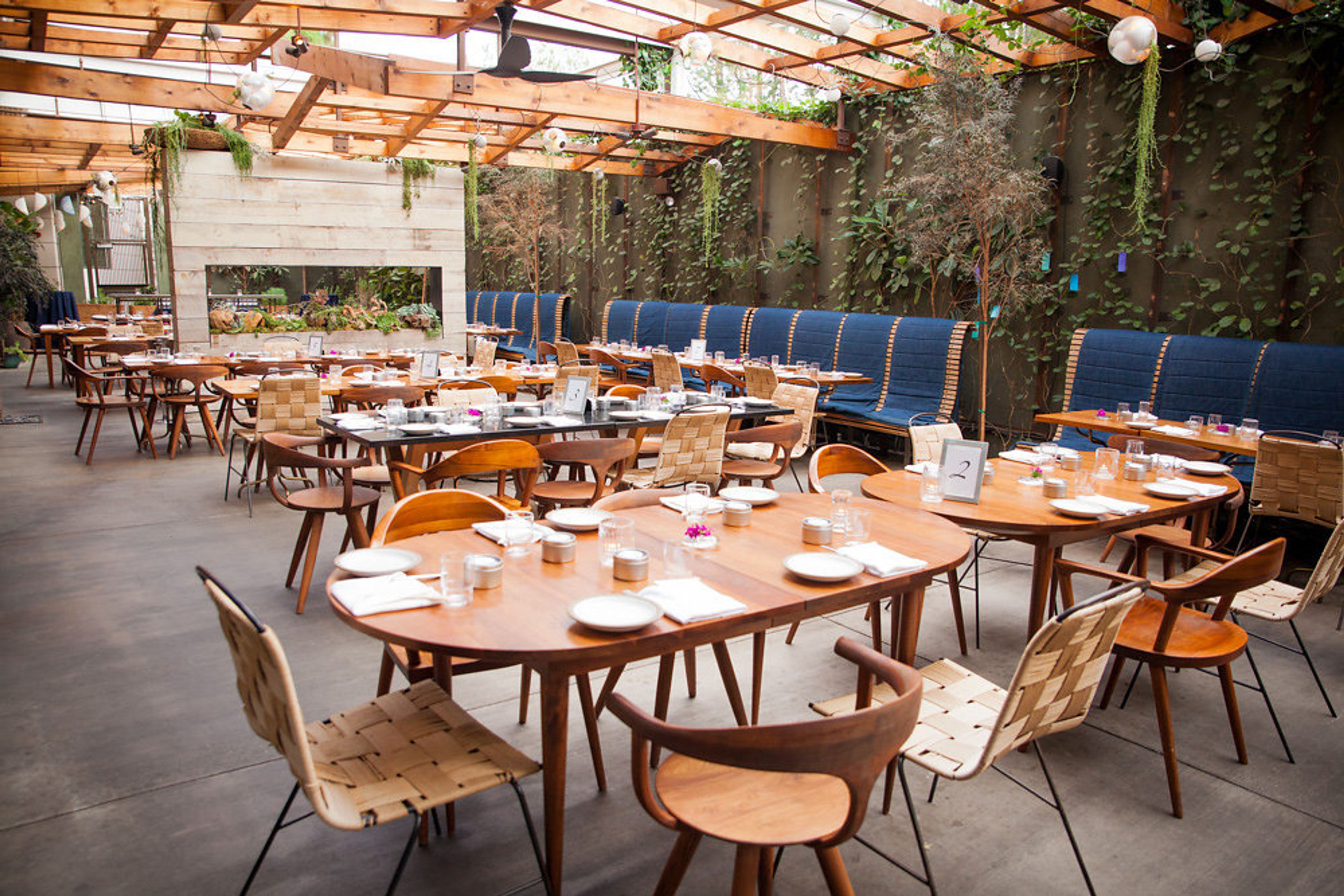 Cover photo of Hinoki & The Bird