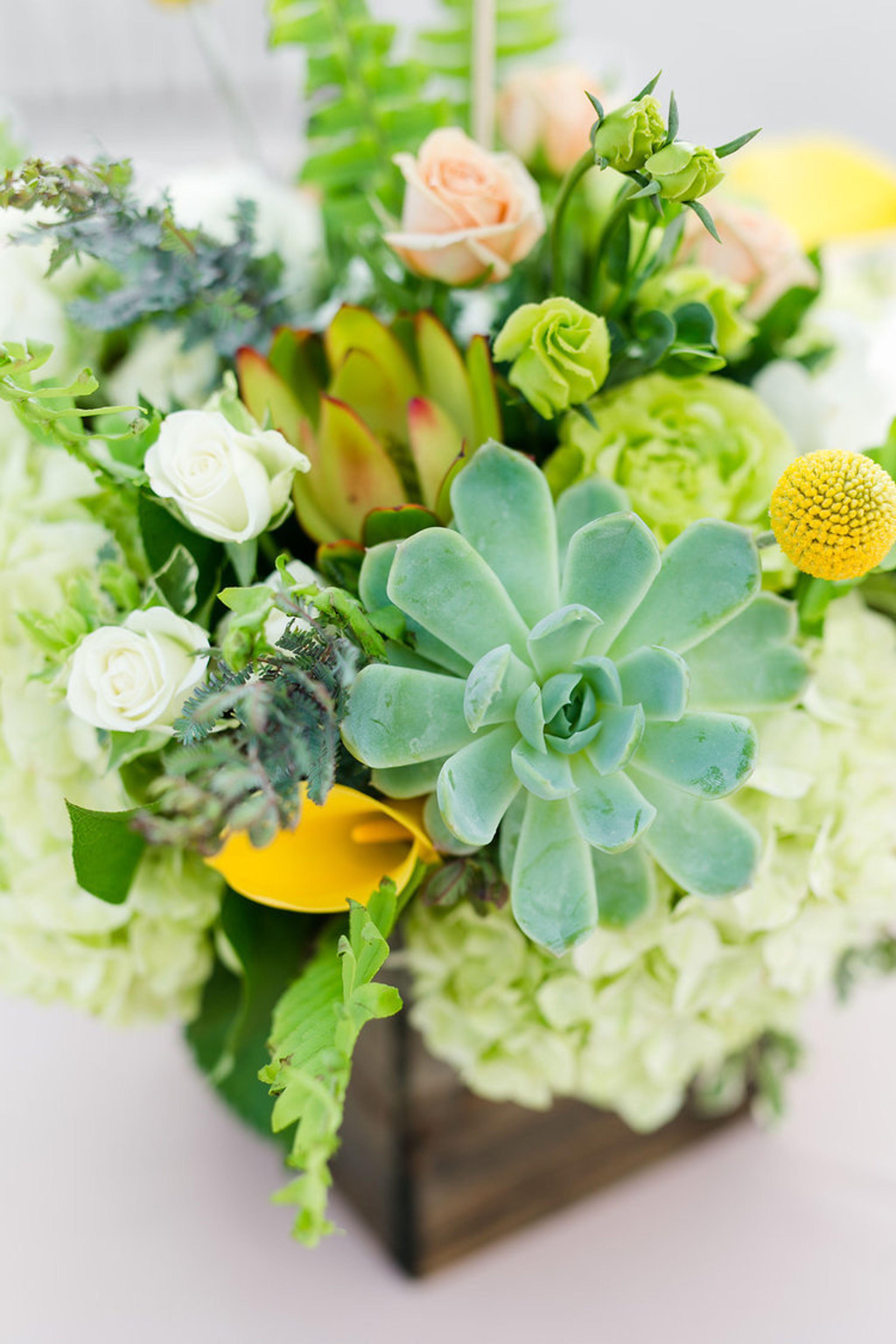 Cover photo of The Bloom Of Time