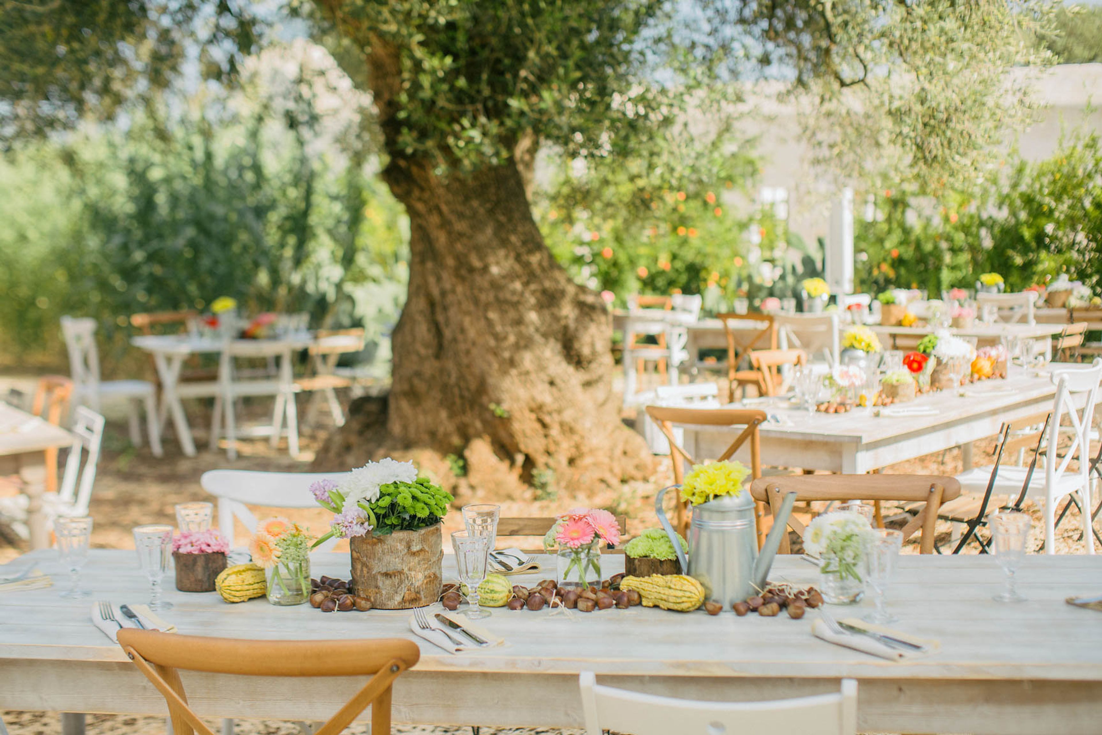 Cover photo of Masserie Le Carrube