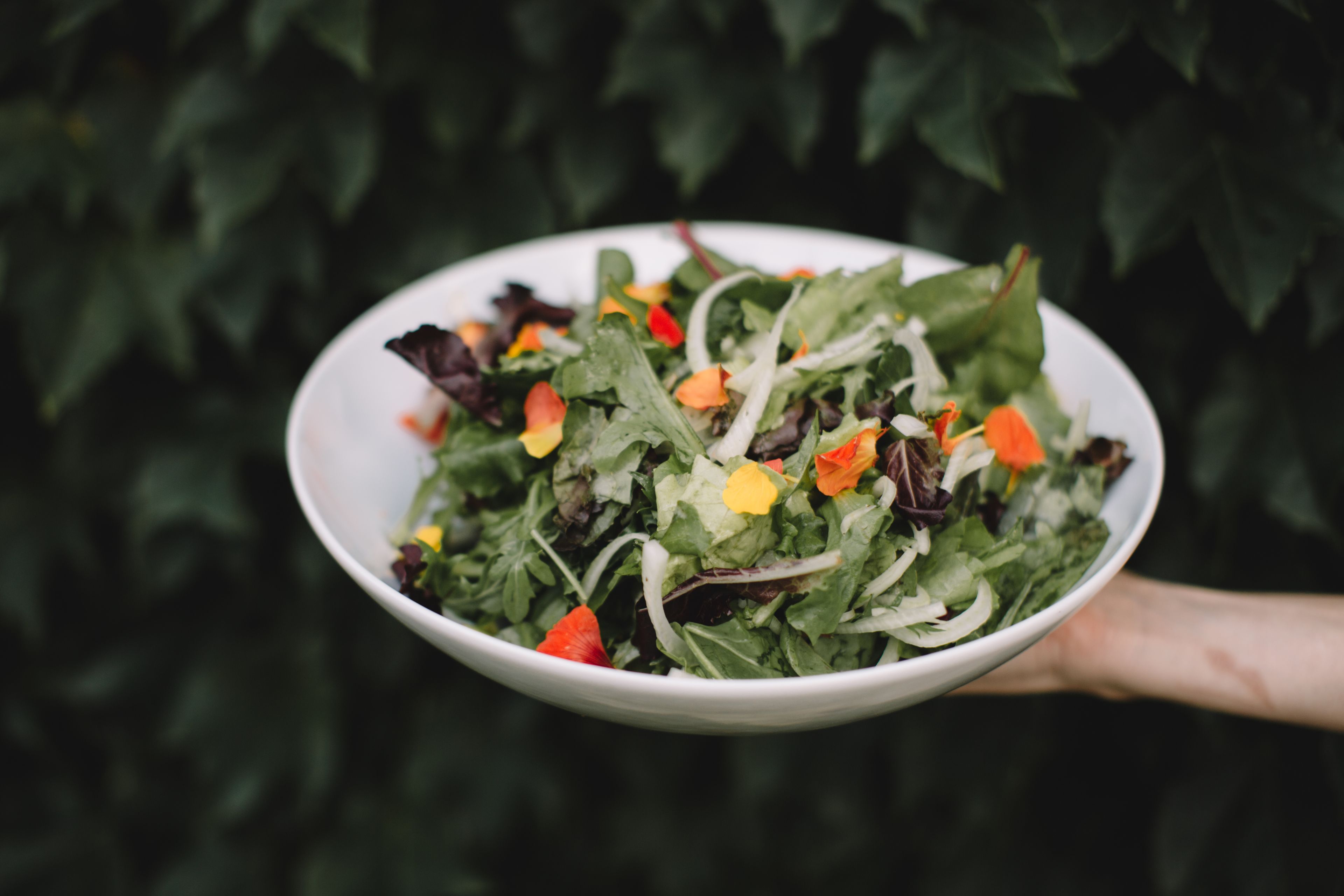 Cover photo of Jaclyn Simpson Photography