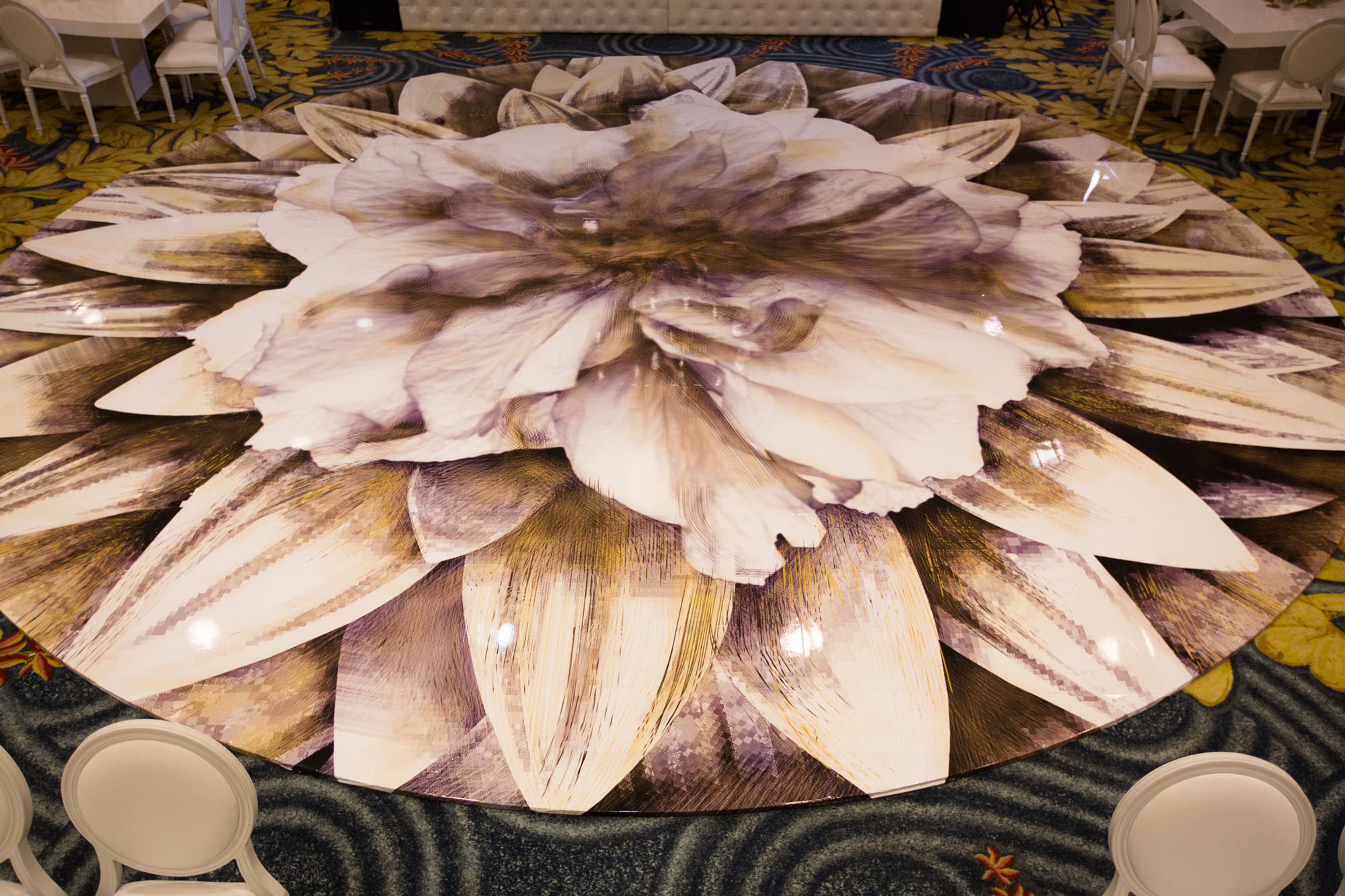 Cover photo of Ara Images